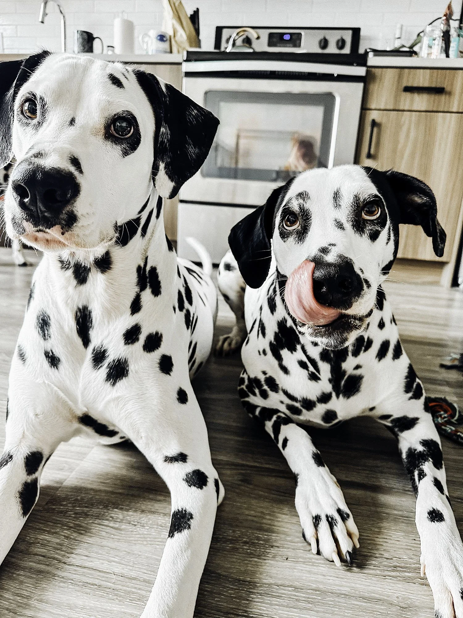 IMG_0024-Edit copy.jpg