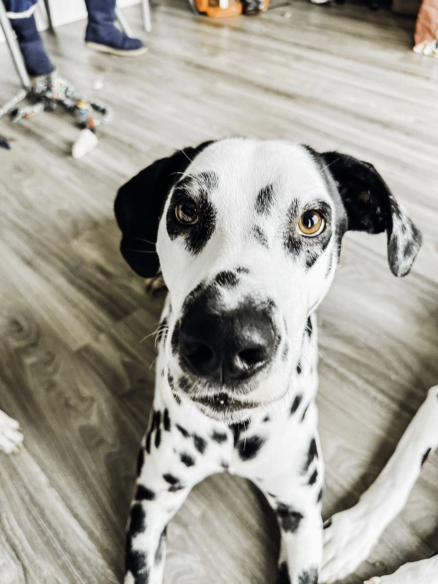 IMG_0034-Edit copy.jpg