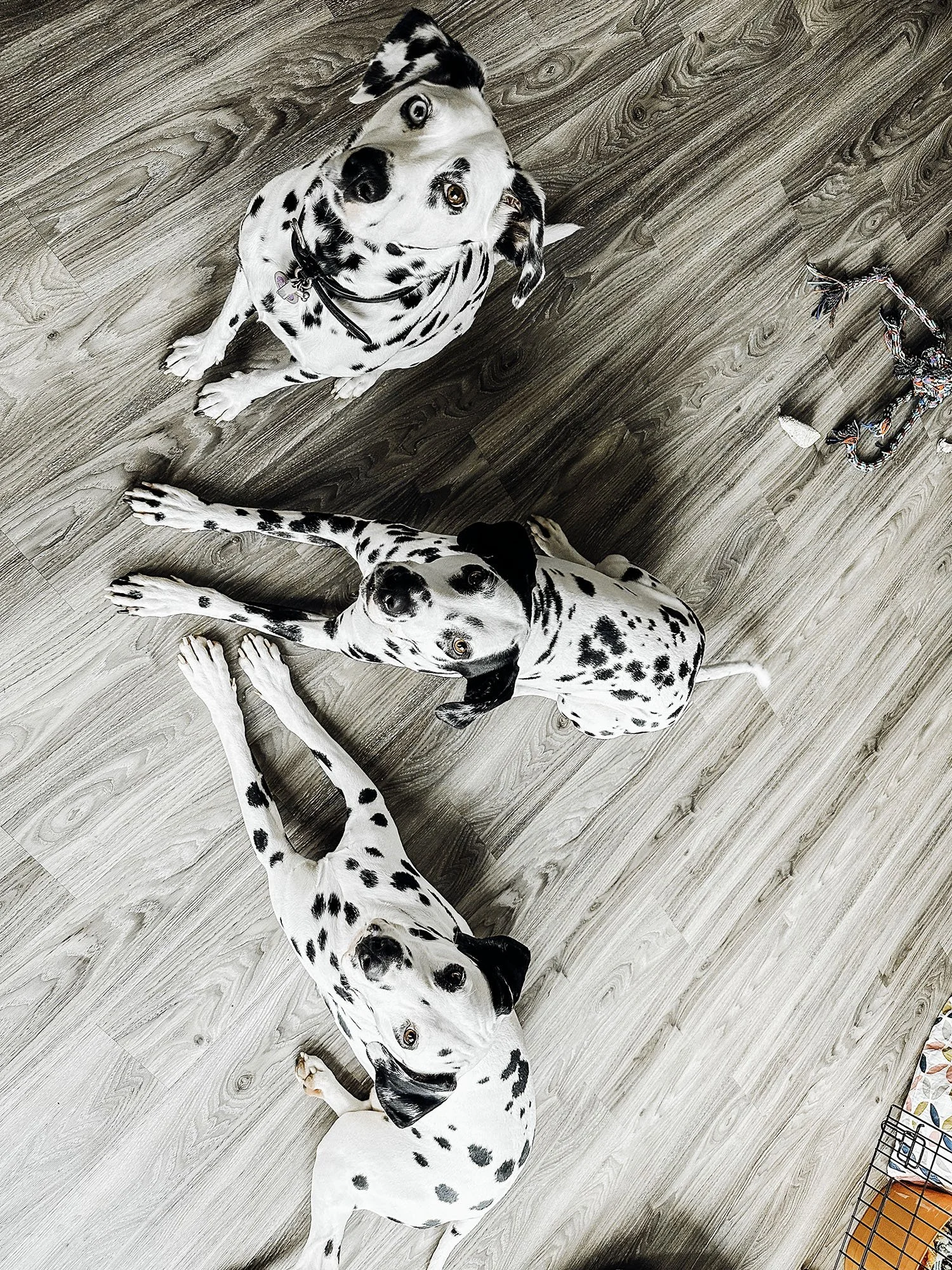 IMG_0031-Edit copy.jpg