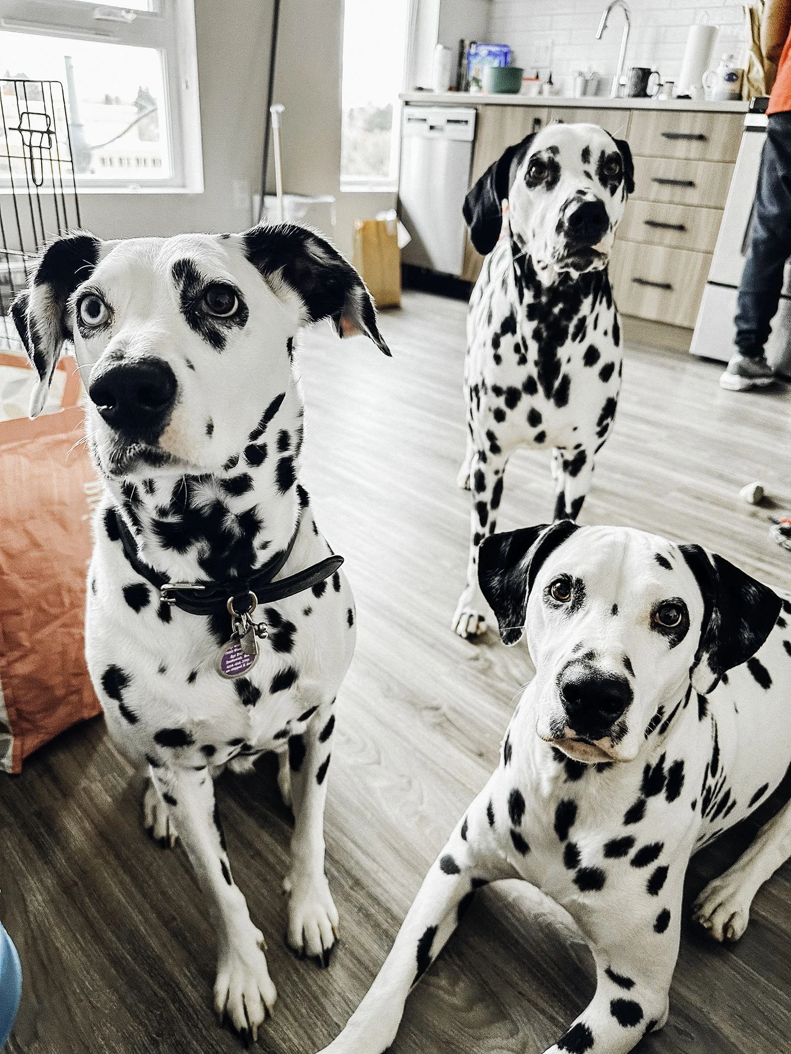 IMG_0028-Edit copy.jpg