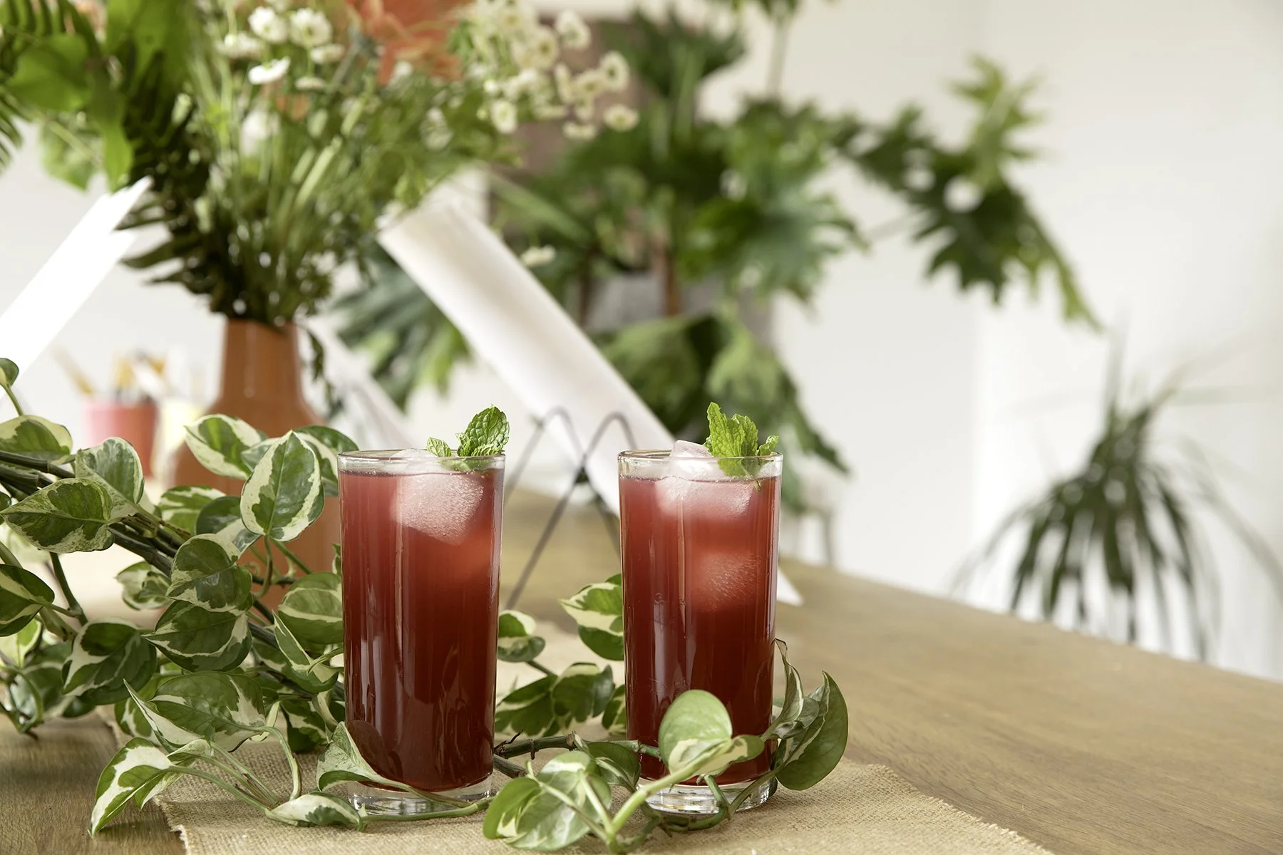 Black Currant -Black Currant Mojito3.jpg