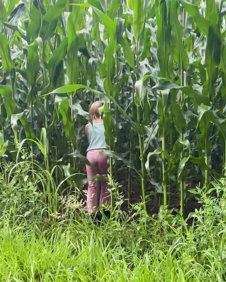 Nyt blogindlæg 🤩
Sådan klarede mine børn 1,5 måned offline
“I dag er første dag mine børn får deres Ipads tilbage, efter 1,5 måned uden. Normalt bruger begge børn Ipad næsten da