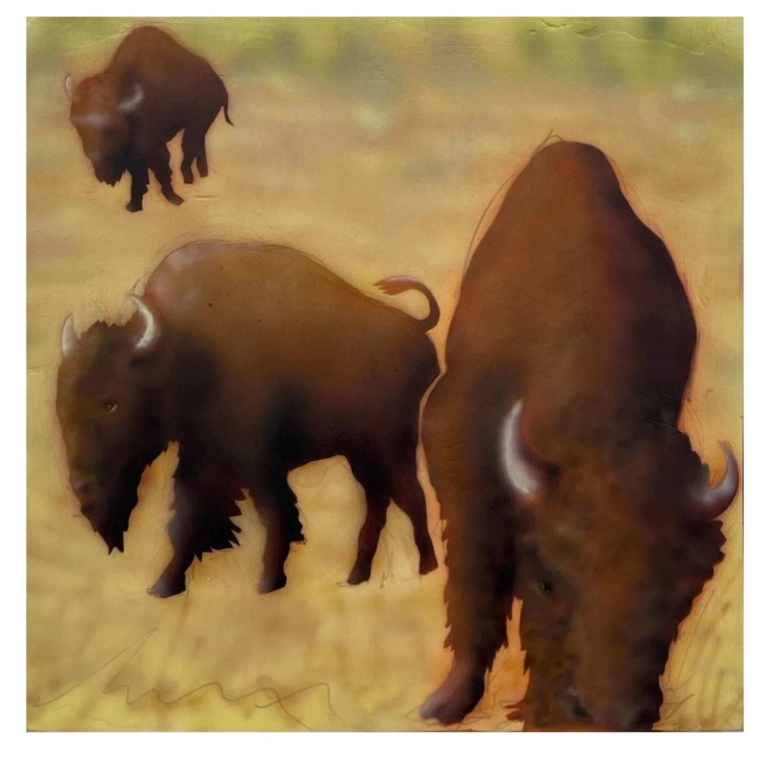 IMG_0029.png