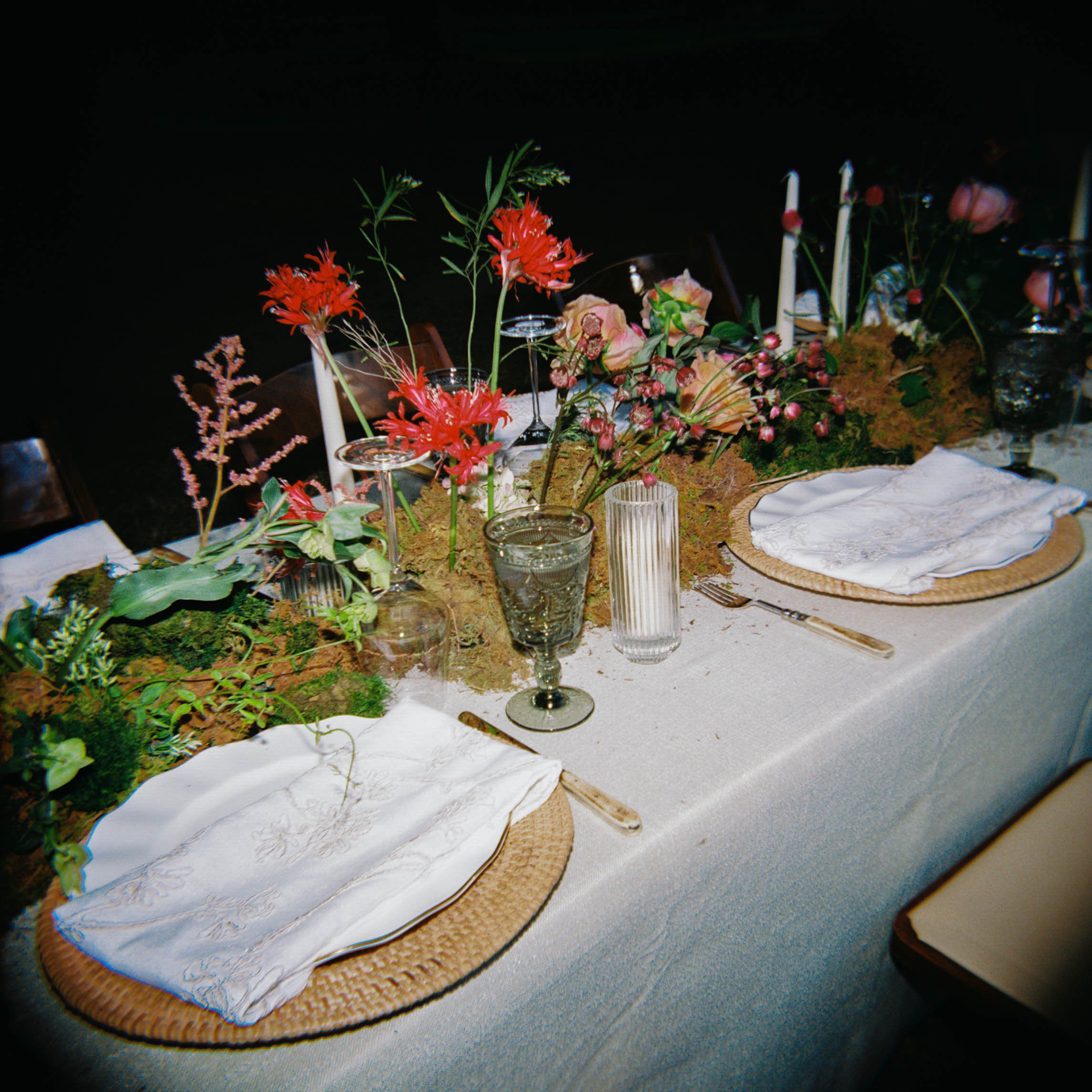 6827rose013514-R1-002.jpg