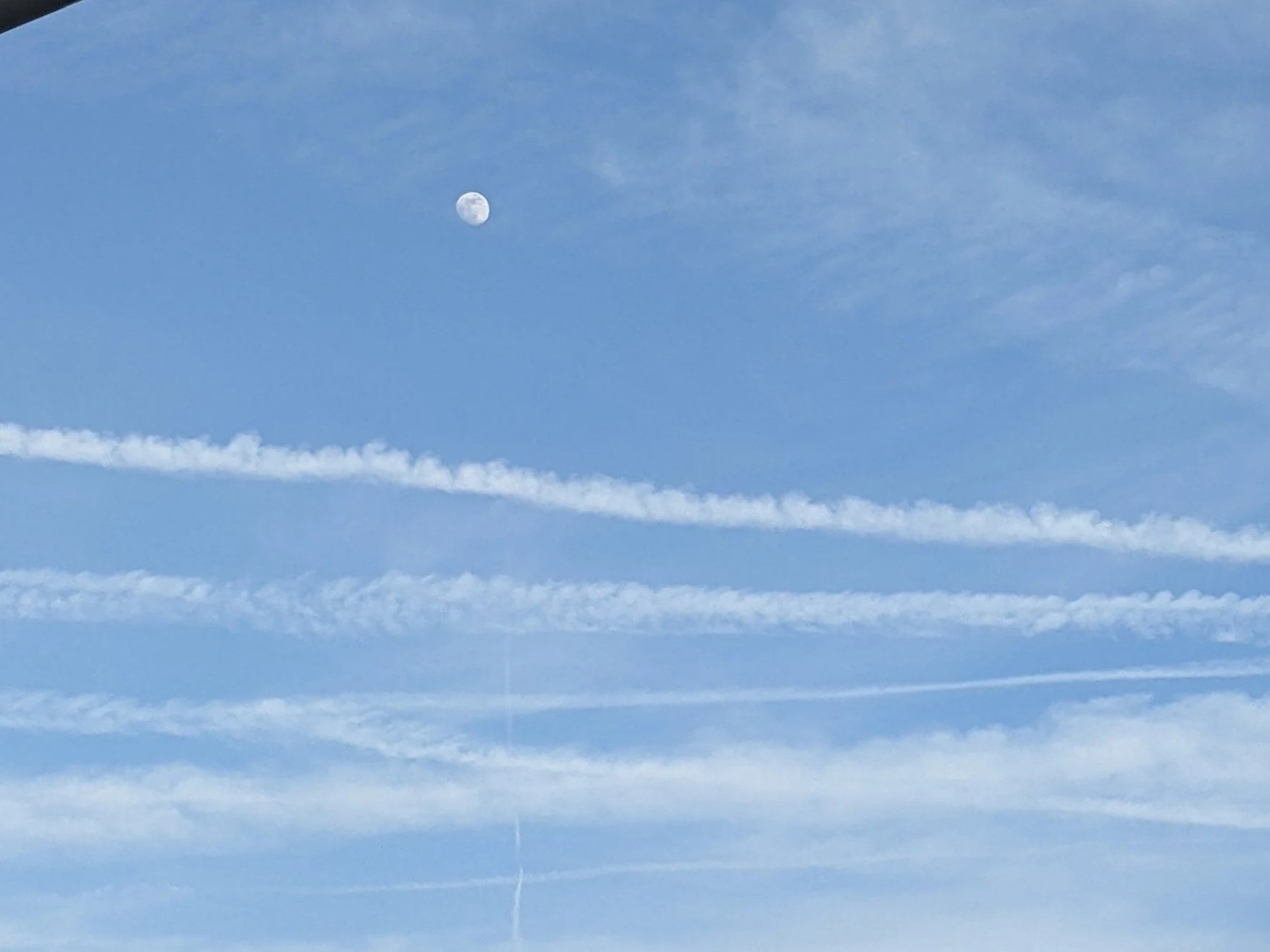 005: Leave the moon alone!!!!