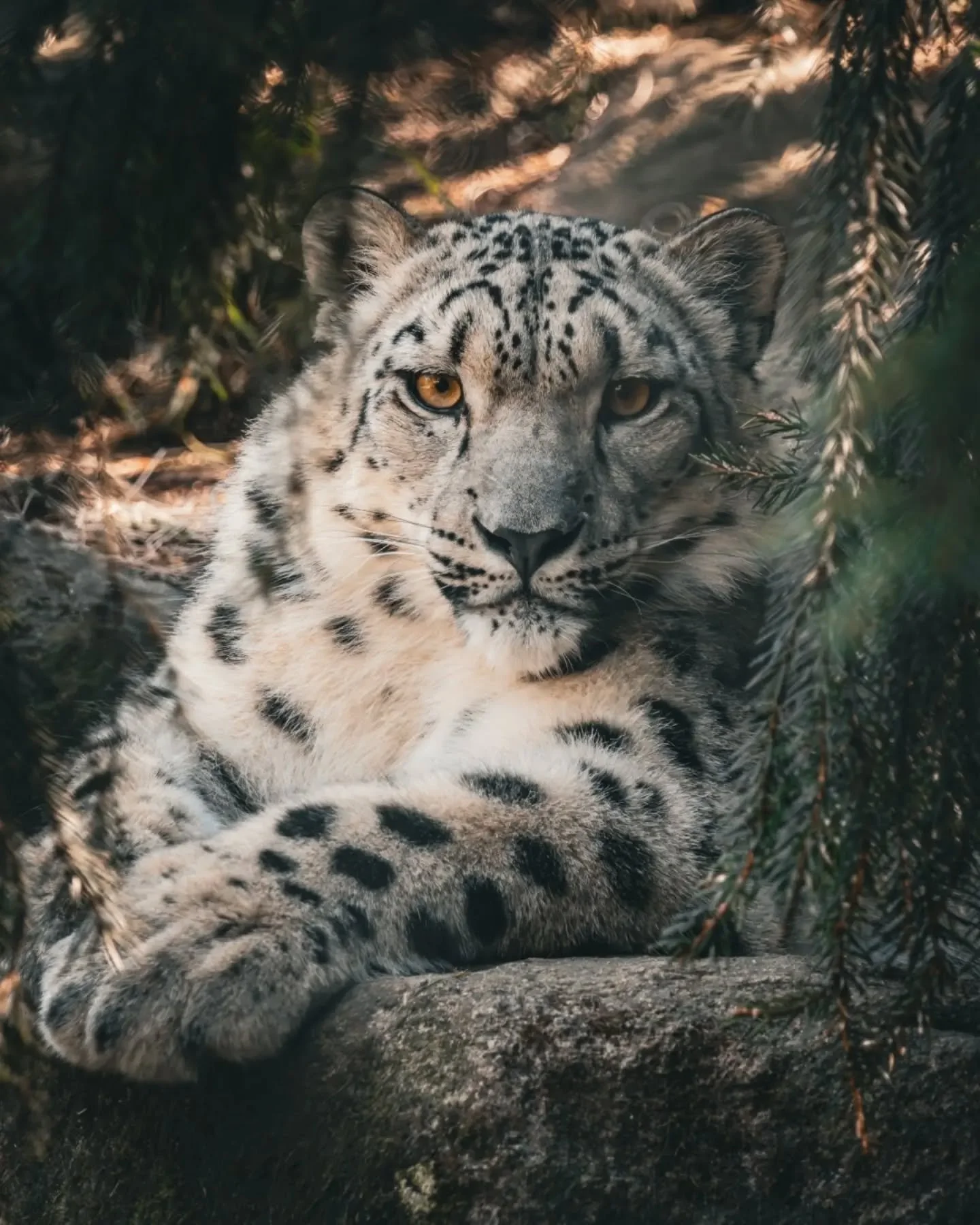 Zoo Day!