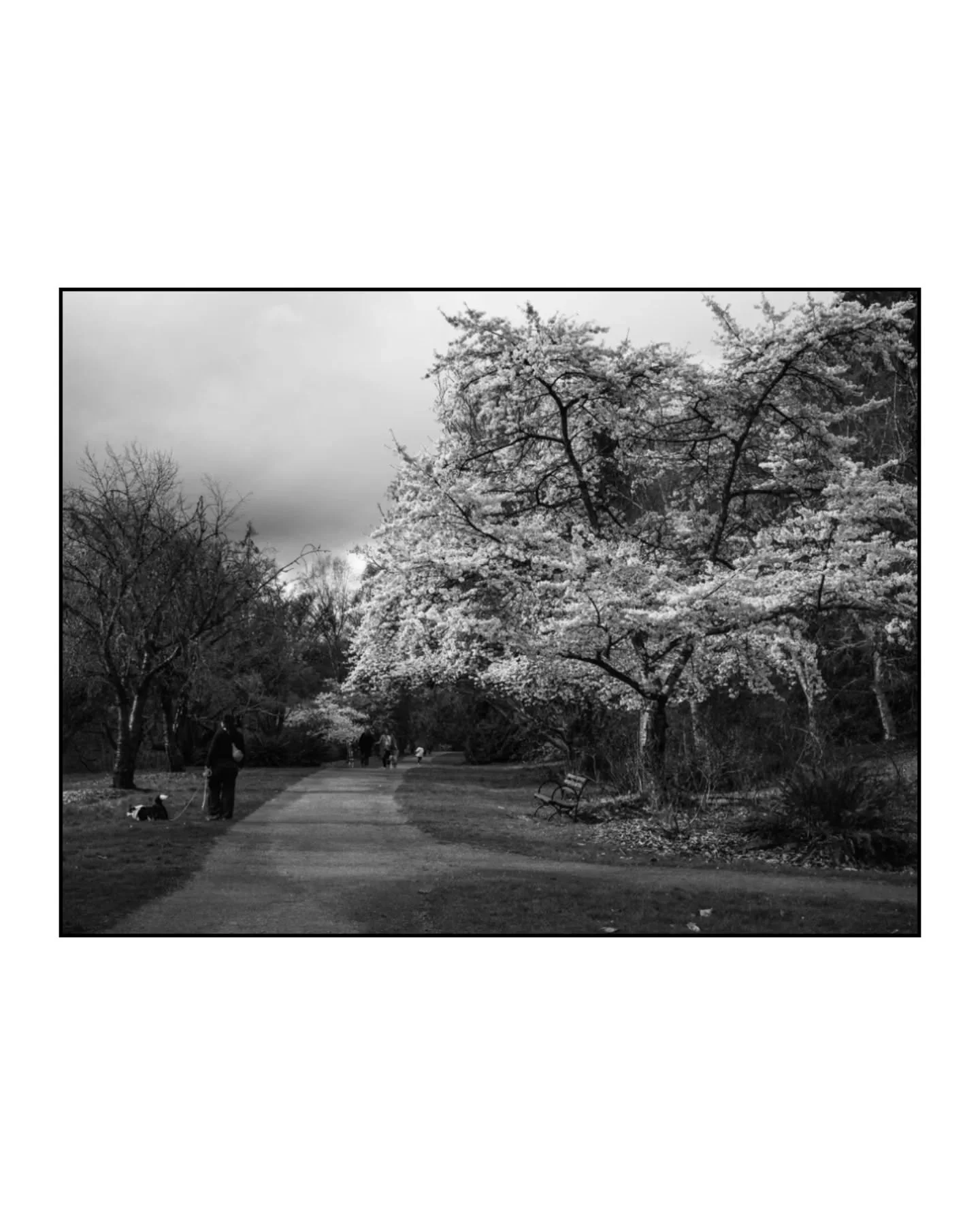 Sometimes a little black &amp; white is just what the doctor ordered