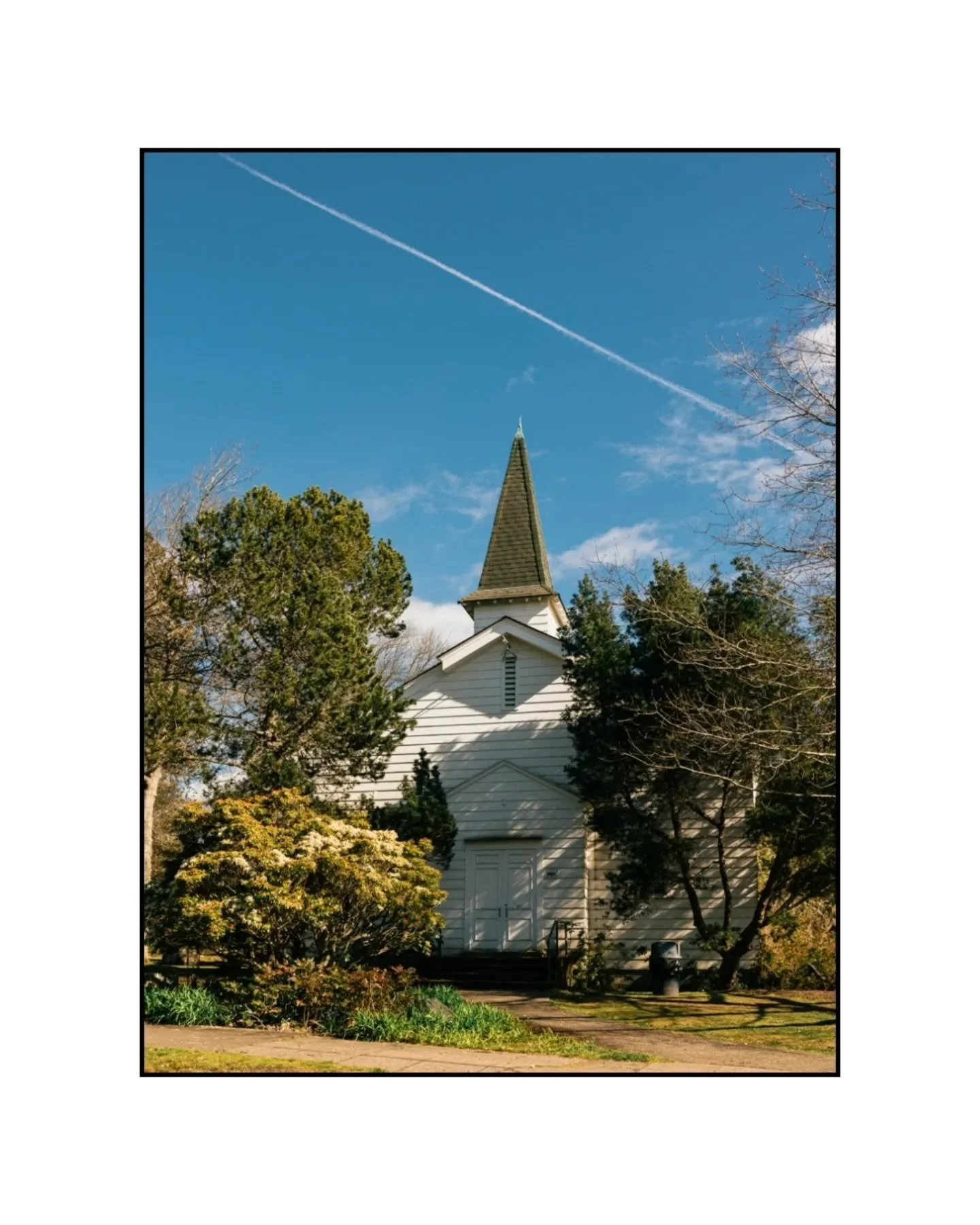 📌 Discovery Park, Seattle, WA
📸 Fujifilm X100VI

#x100ⅵ #fujifilm #discoverypark #seattlephotography #pnwphotographer