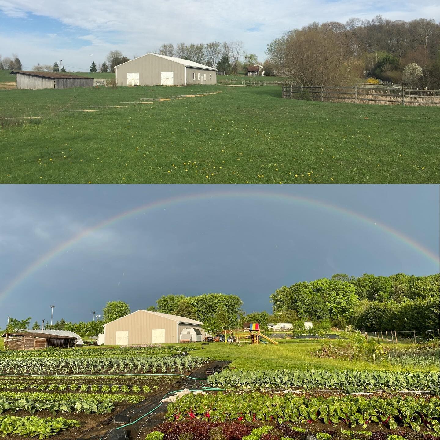 Today marks the 8th anniversary of owning our farm dream. 🌈 

Thank you to everyone along the way who has helped us achieve this dream. 💚

#homegrownnaturally #eatlikeafarmer #growinupfresh