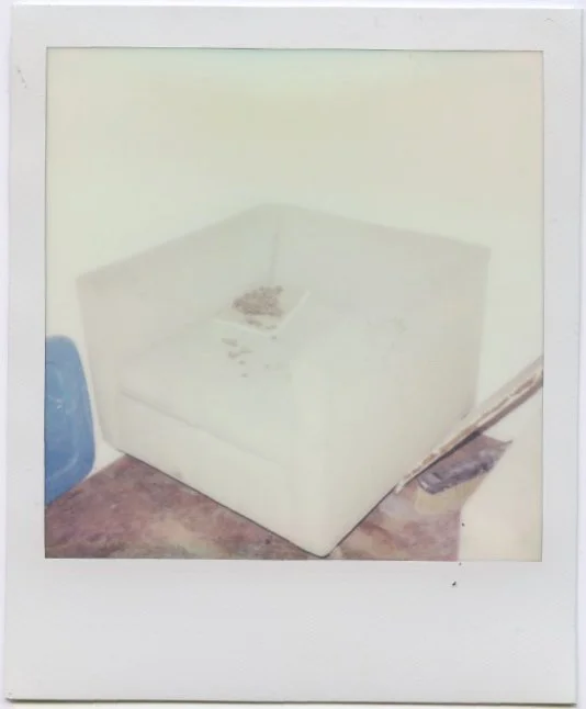 Abandoned Living Room in Baltimore (2024)