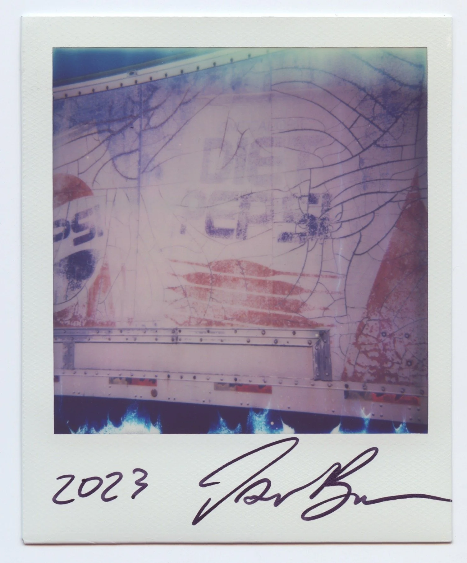tidb polaroids 21.jpeg