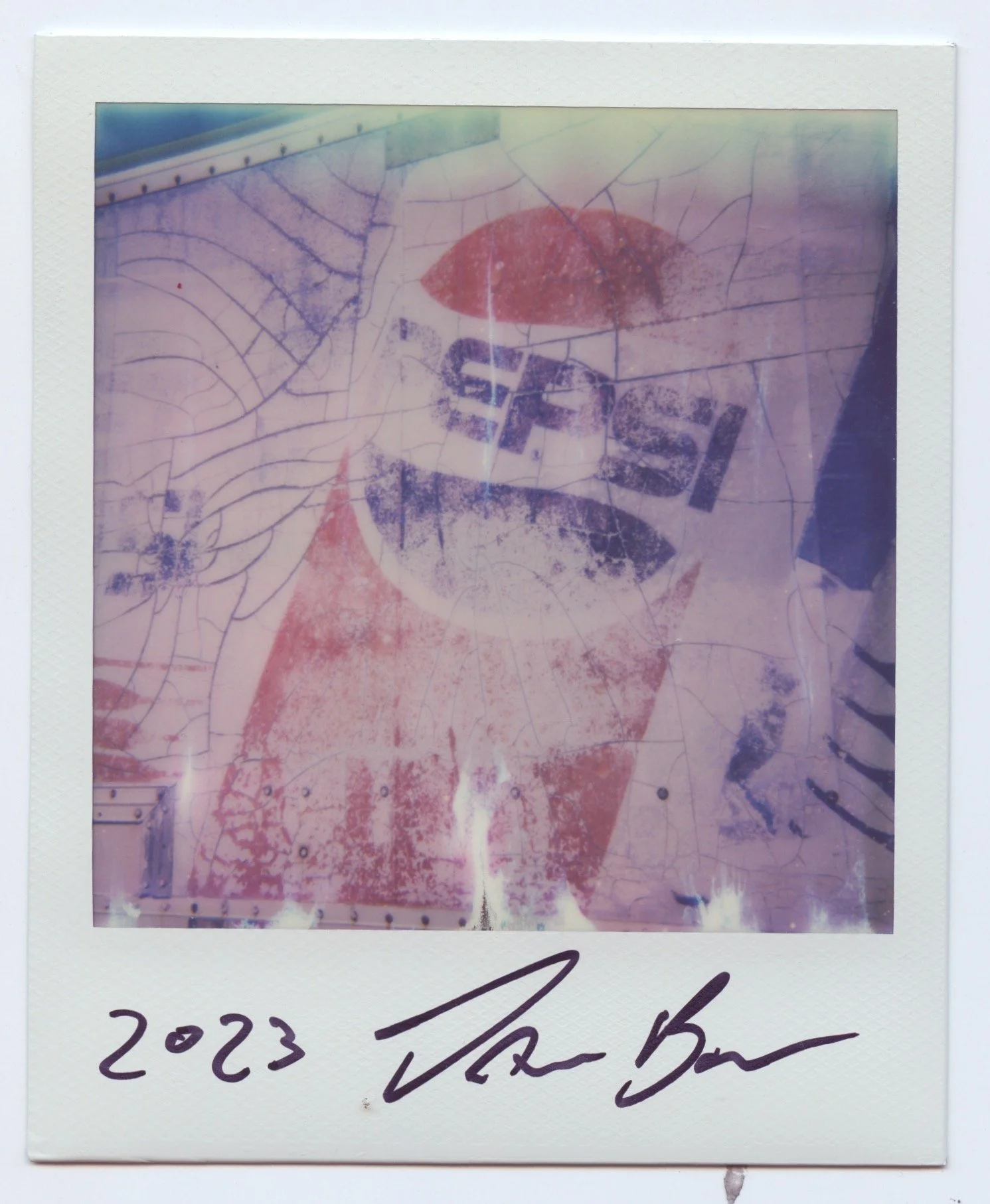 tidb polaroids 20.jpeg