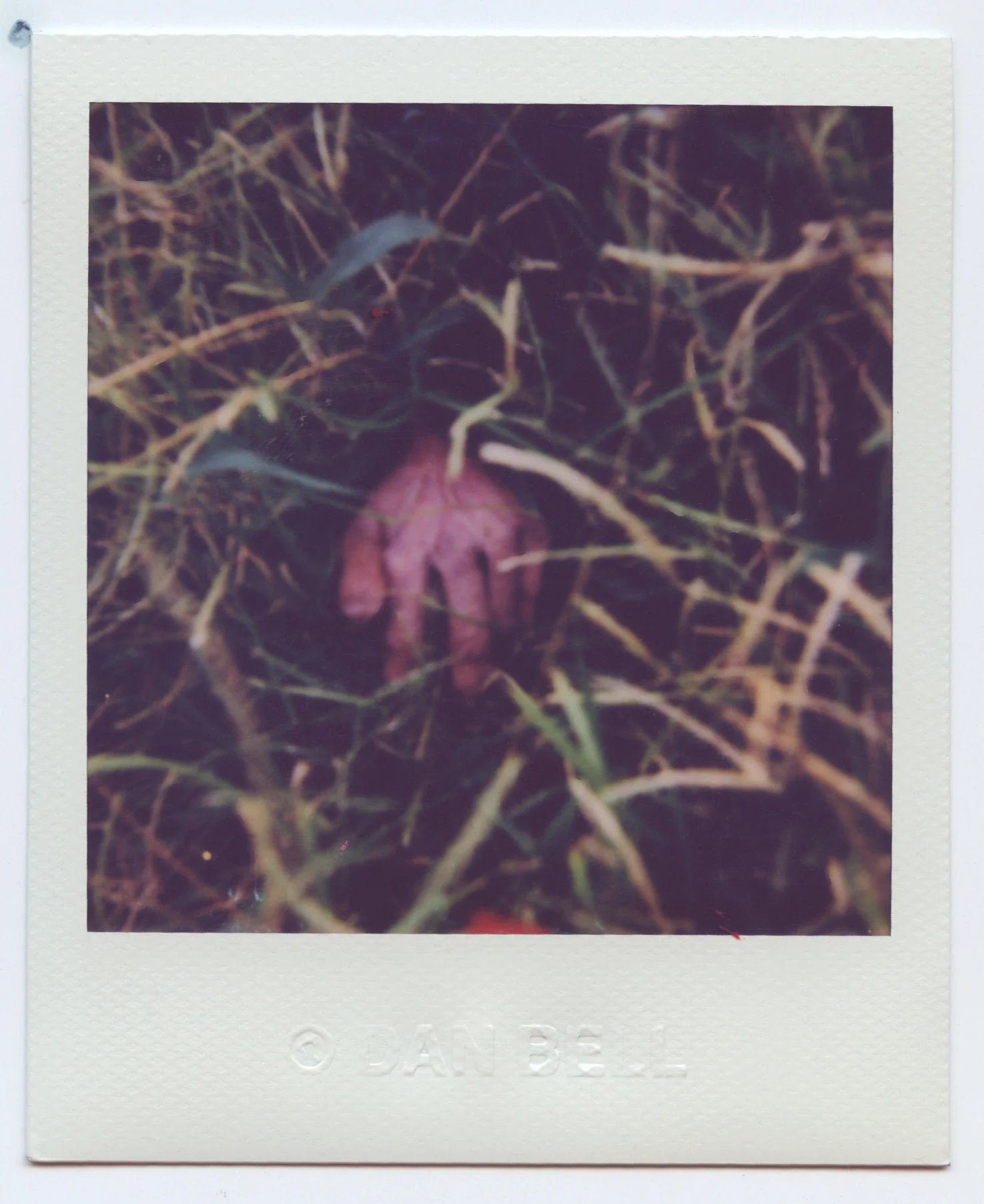 tidb polaroids 27.jpeg