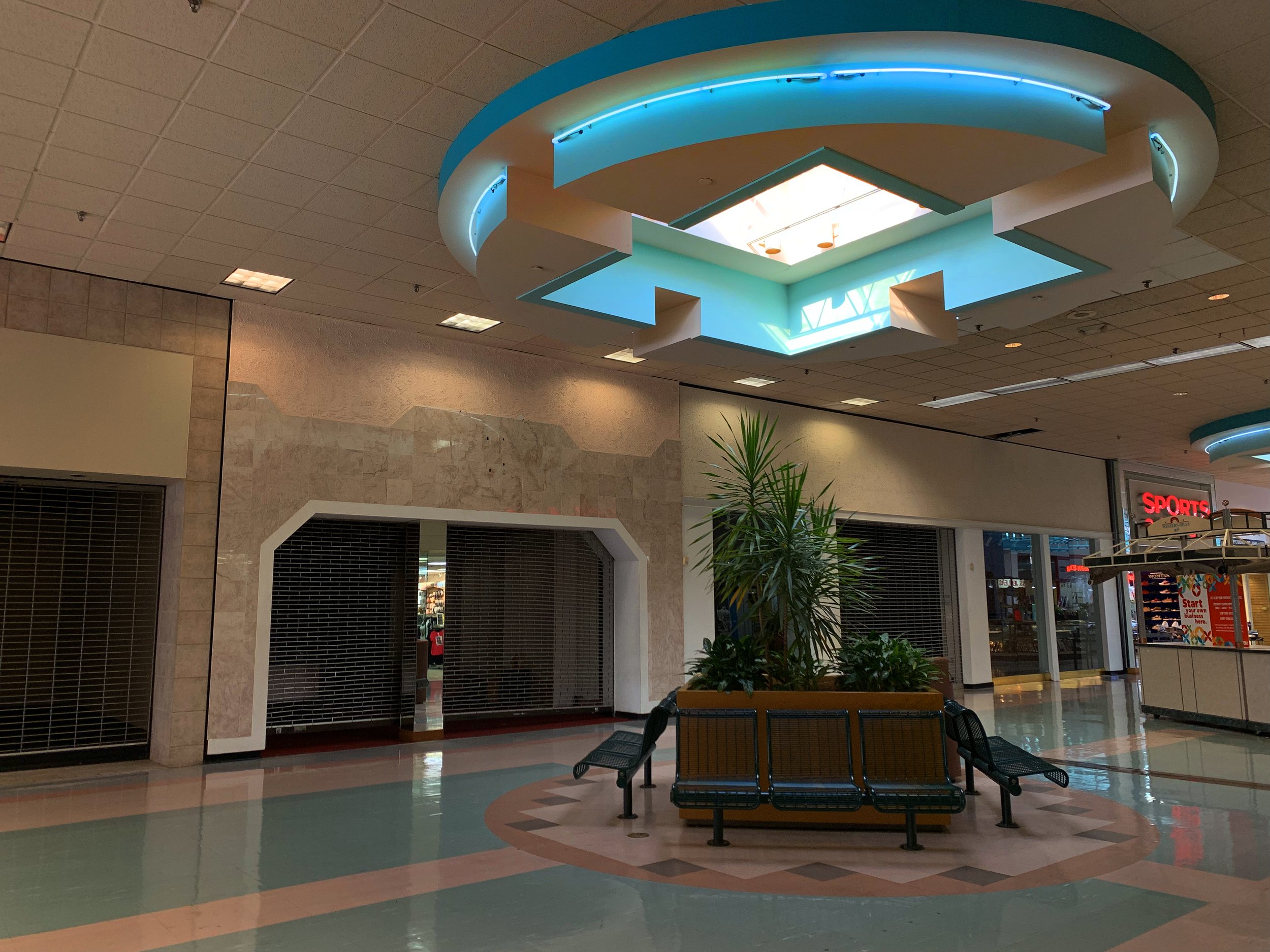 NEON SKYLIGHTS.jpg