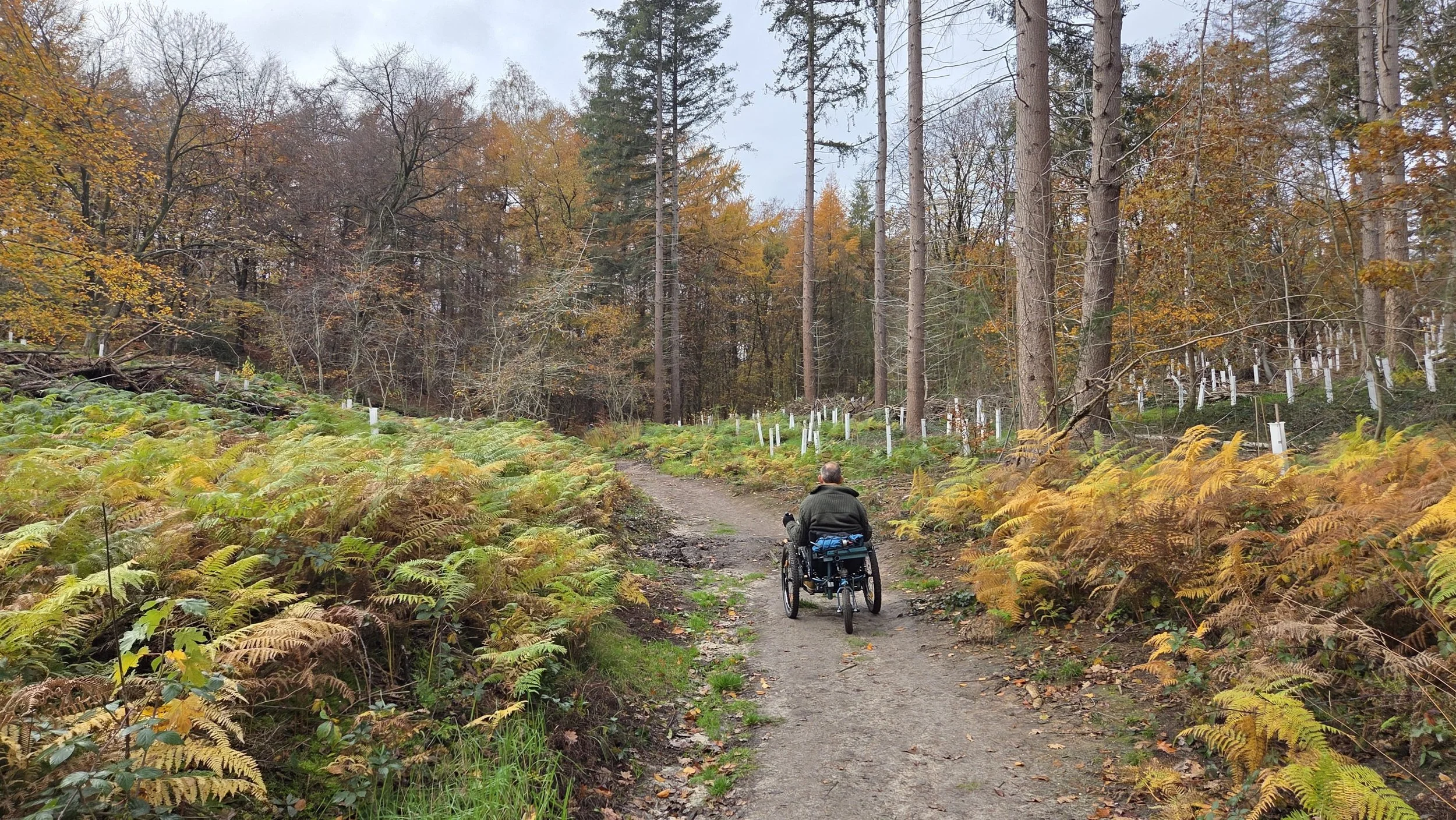 WhatsApp Image 2025-11-20 at 14.43.08 (1).jpeg