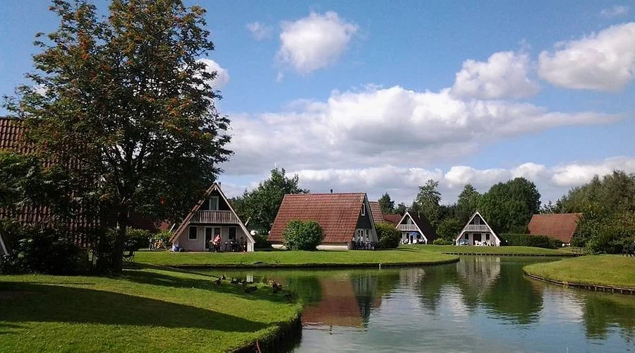 t-hooge-holt.jpg