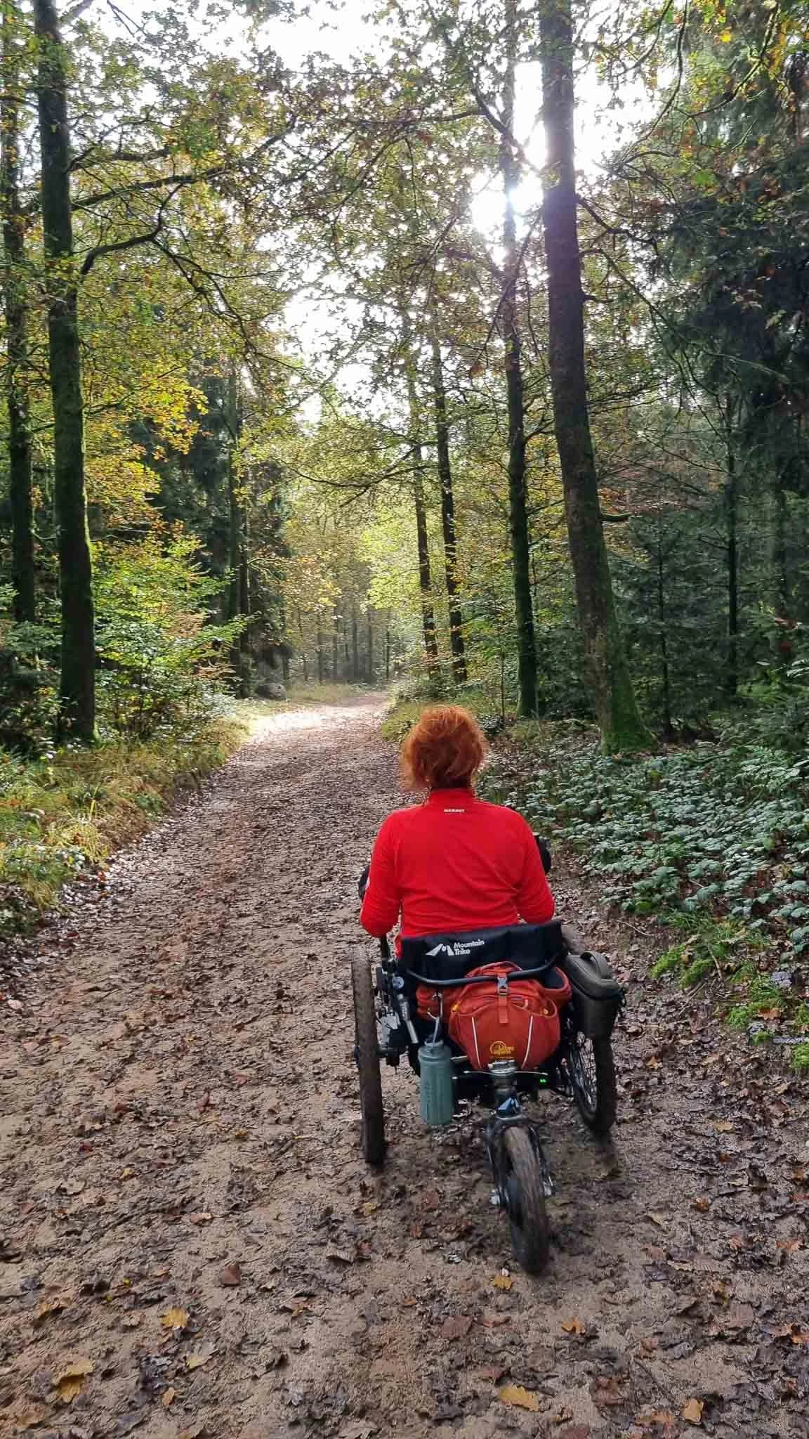 Persoon in een rood shirt fietst op een elektrische rolstoel op een bosweg omgeven door bomen en groen landschap.
