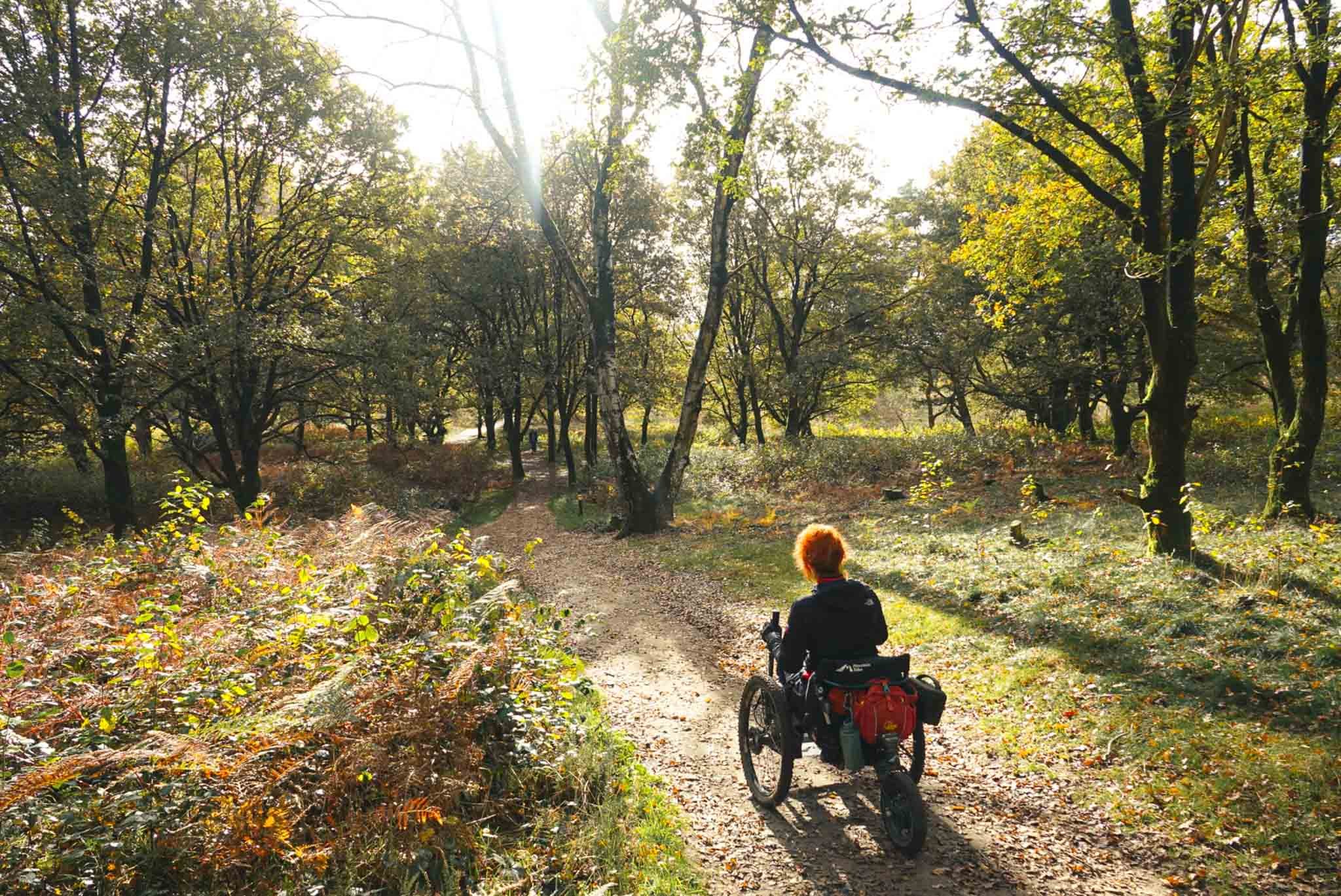Persoon in een rolstoel fietst door een bos op een zonnige dag, omgeven door bomen met groene bladeren.