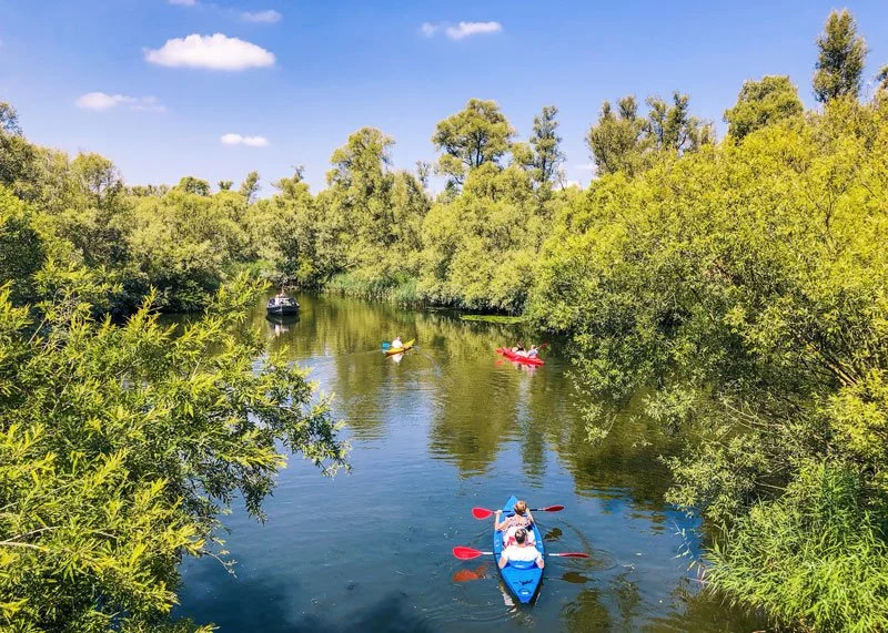 Mensen varen kajakken en een boot op een rustige rivier omgeven door groene bomen onder een heldere blauwe hemel.