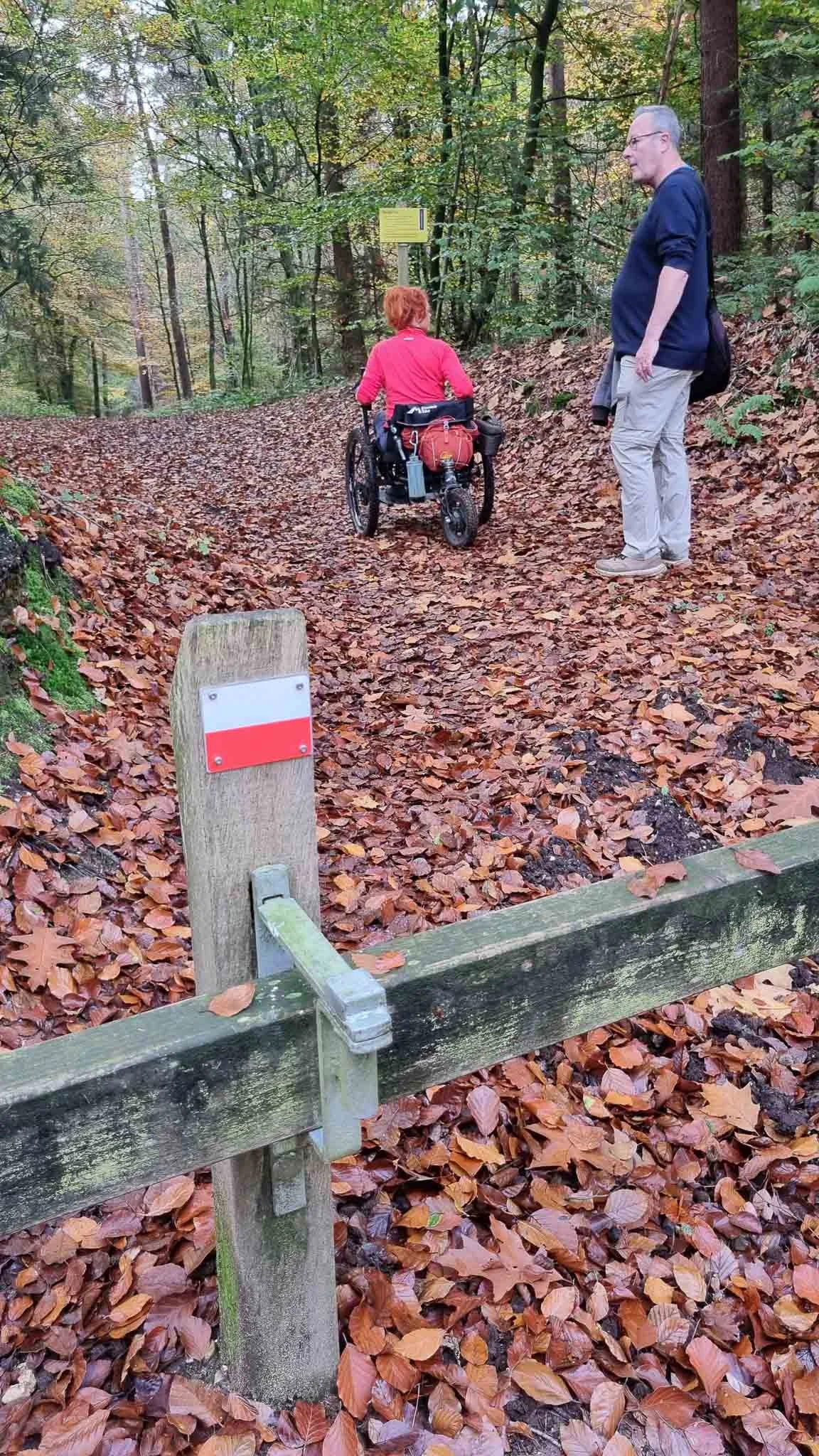 Een persoon in een elektrische rolstoel en een man wandelen op een bospad met bladeren op de grond, langs een houten hek met een route- of parkbord.
