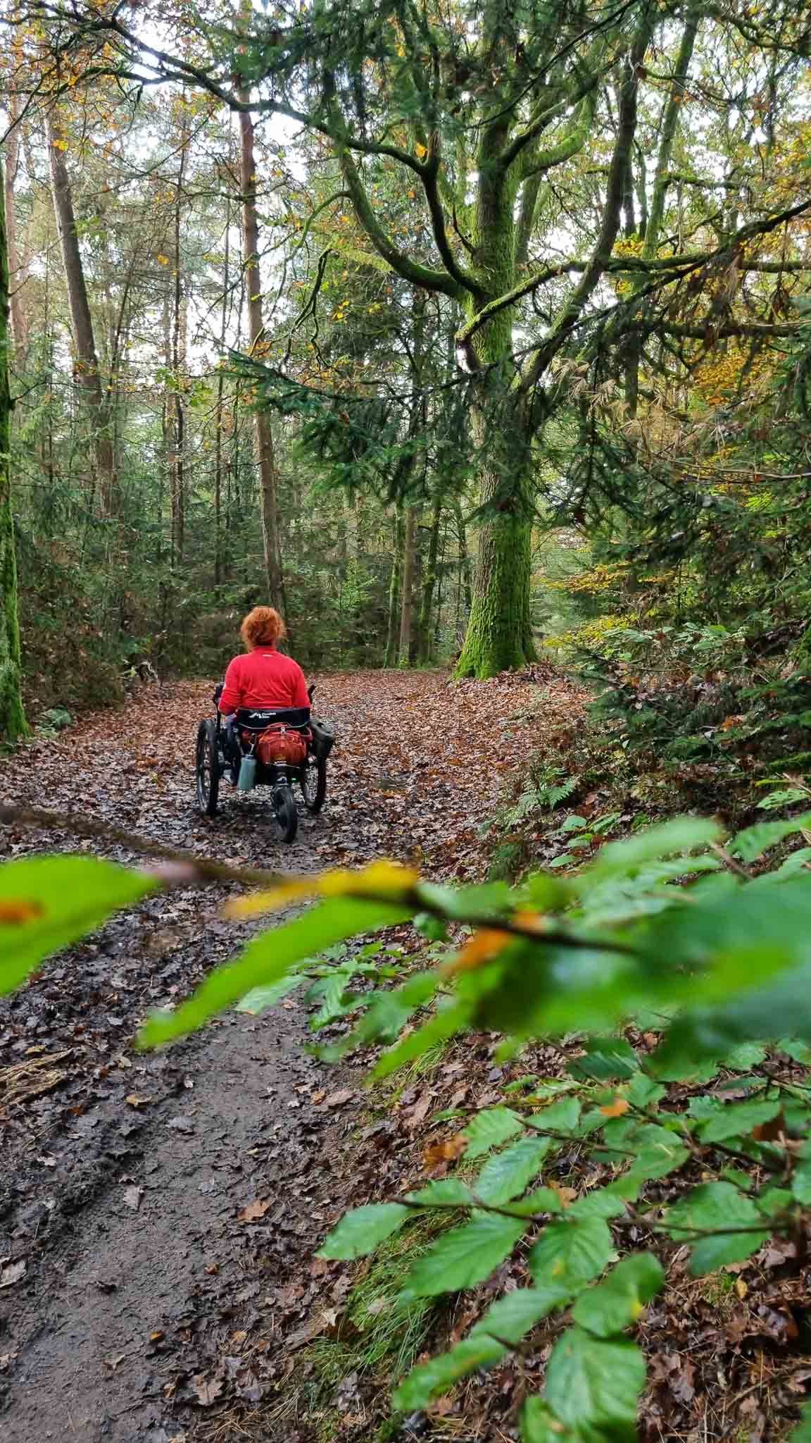 Een persoon in een rolstoel rijdt door een bos met veel groen en herfstbladeren op de grond.