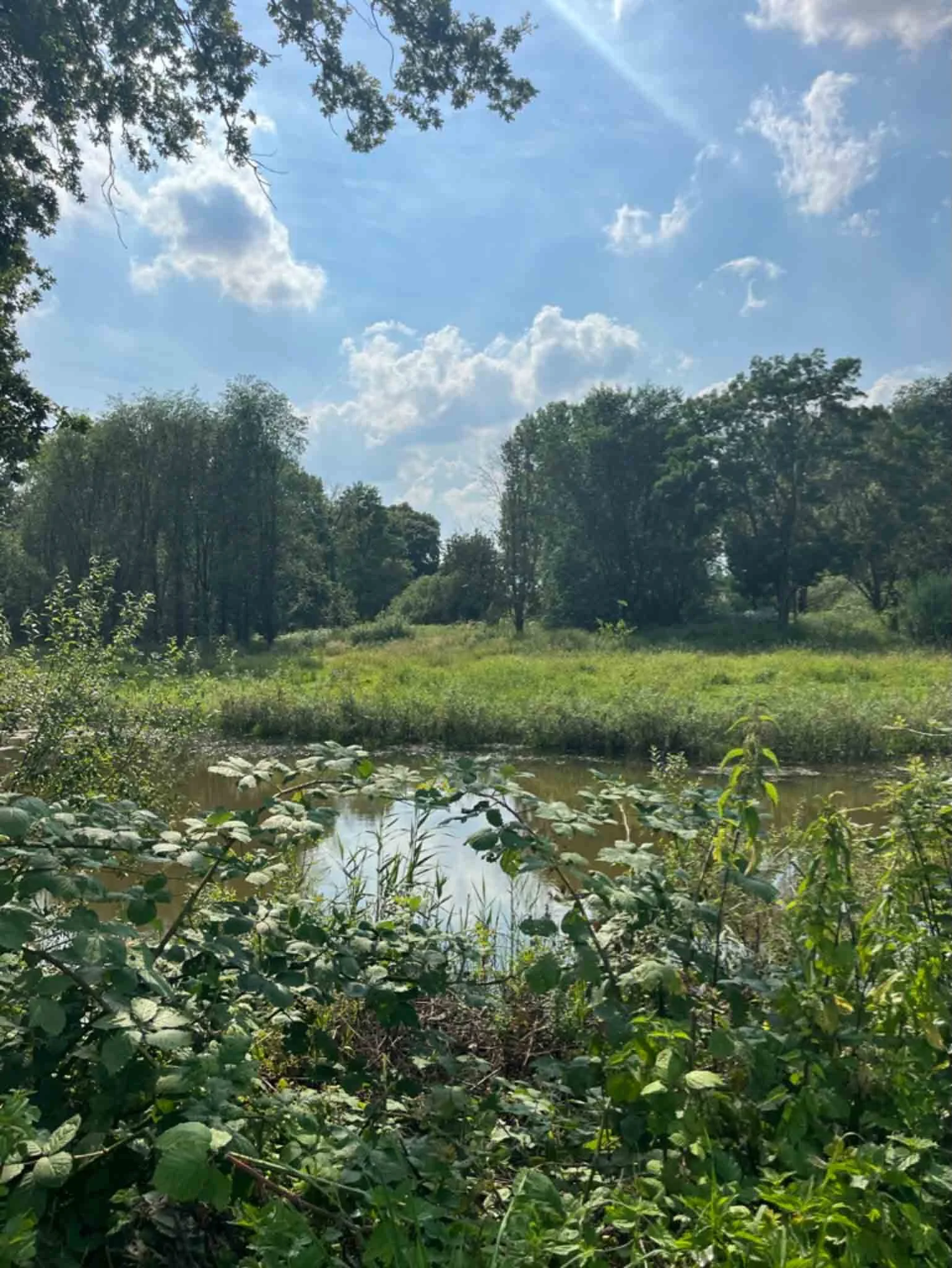 Etappe 23 kein-17.jpg