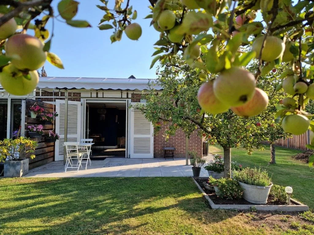 Toegankelijke accommodatie aan het Pieterpad. Tuin met appels die aan een boom hangen, een terras met een tafel en stoelen, en een gezellige tuinruimte met bloemen en planten.