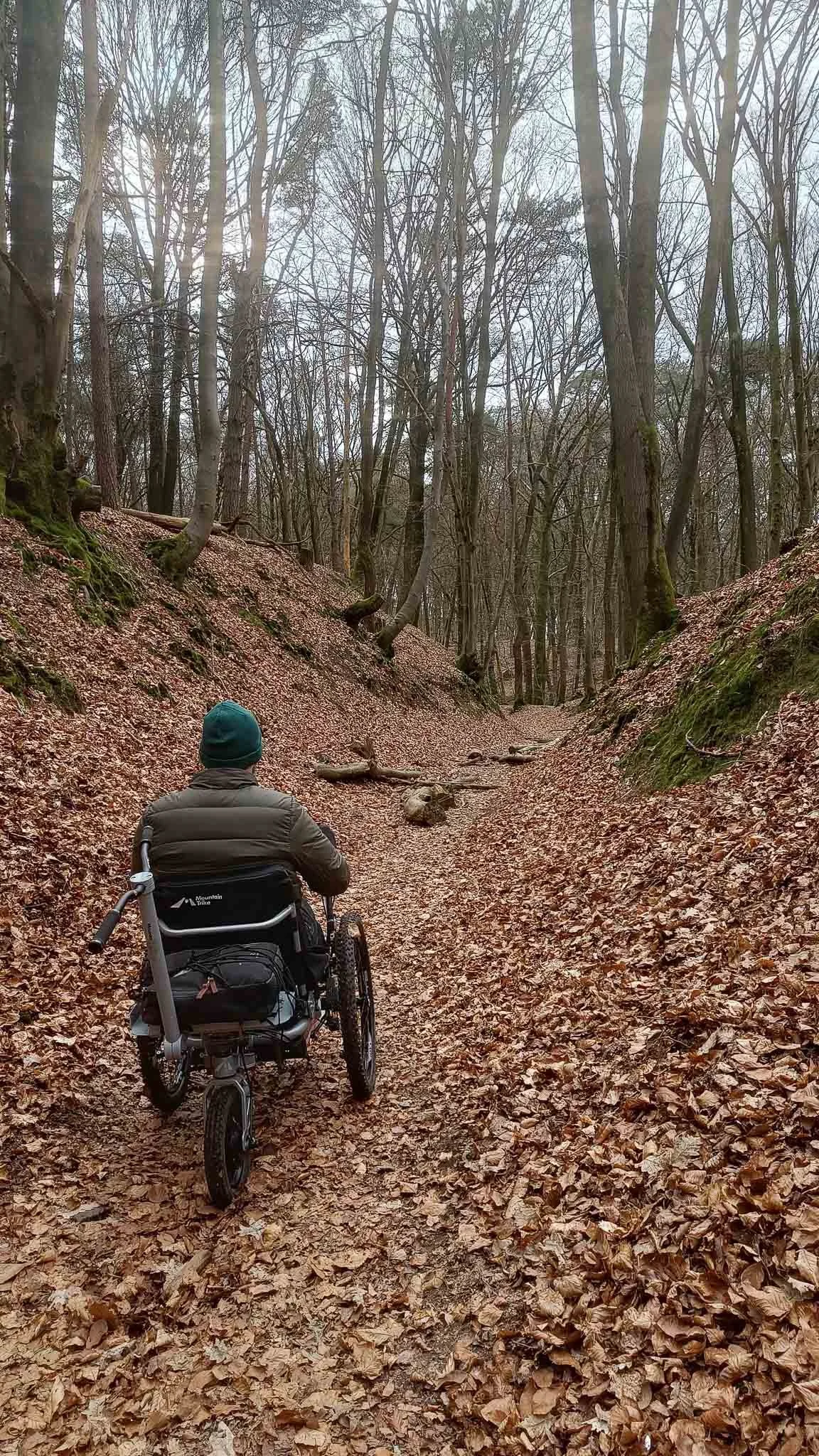 Persoon in een rolstoel die door een bos met bladeren op de grond rijdt, omgeven door kaal wordende bomen.