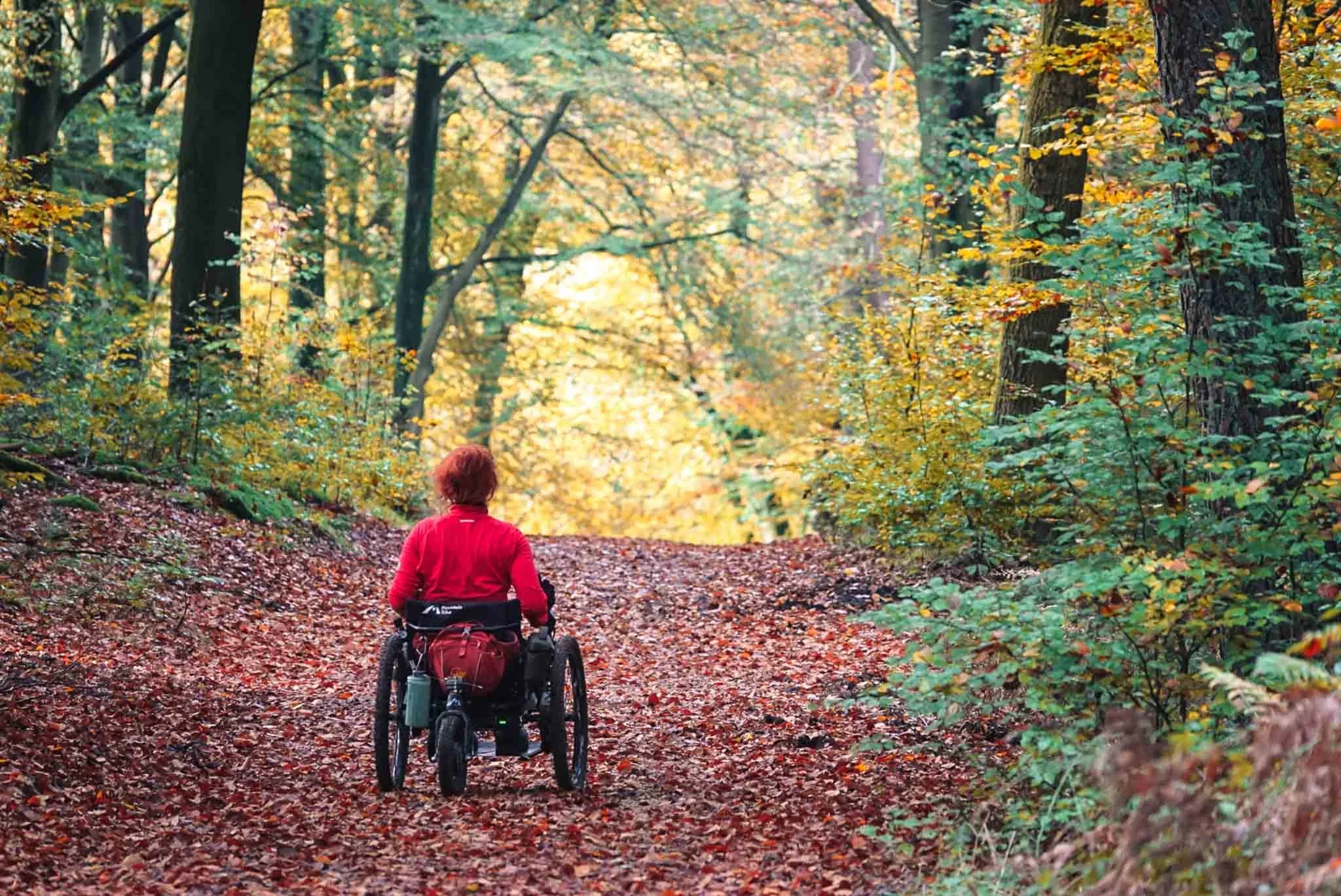 Persoon in een rolstoel wandelt door een bos met herfstkleuren.