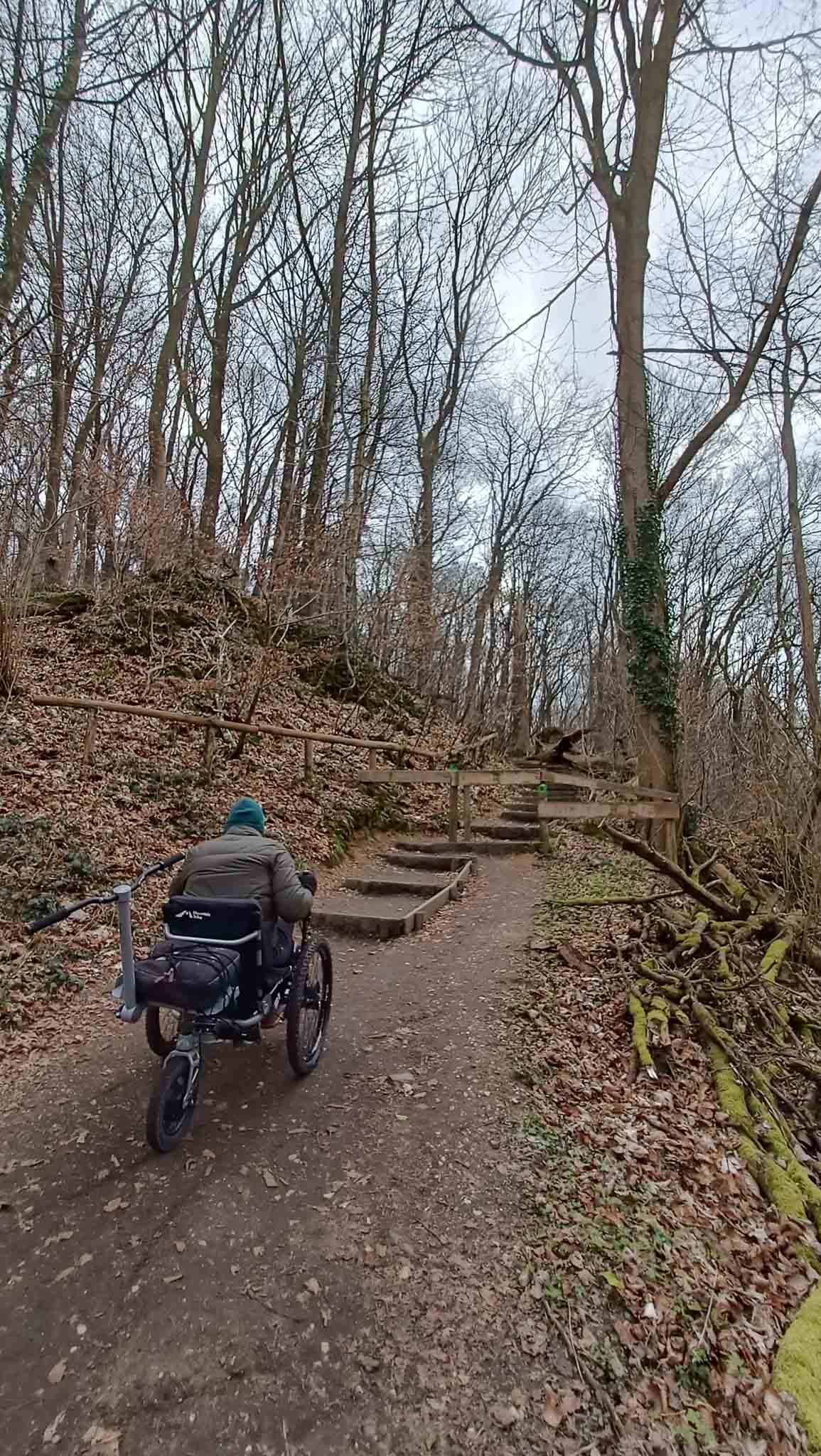 Persoon in een elektrische rolstoel op een bosweg met trapjes en boomwortels, omgeven door bomen zonder bladeren en mos.