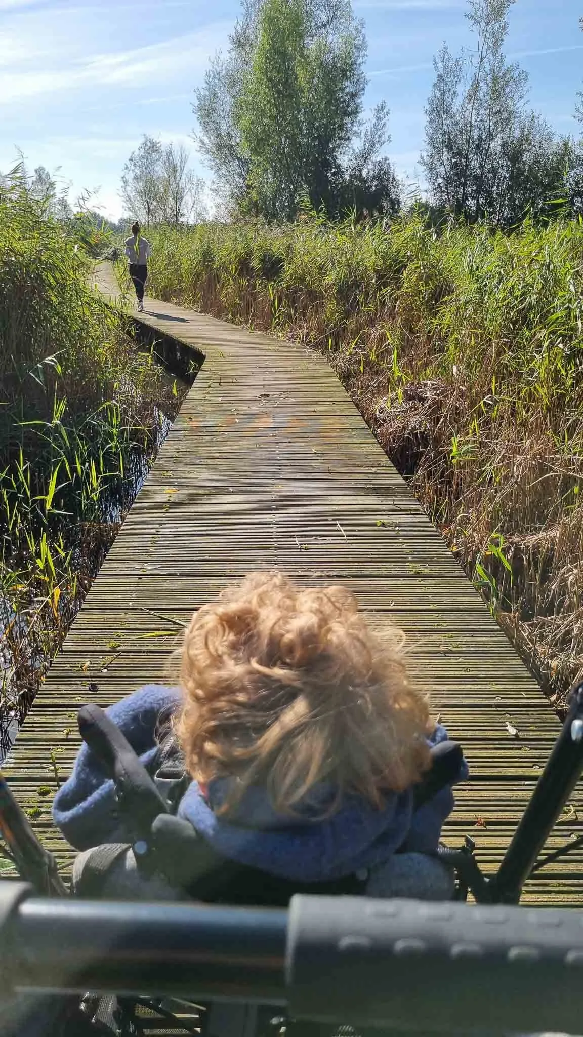Kind in een kinderwagen op een houten wandelpad door een natuurgebied met riet en bomen, terwijl een persoon verderop wandelt onder een blauwe hemel.