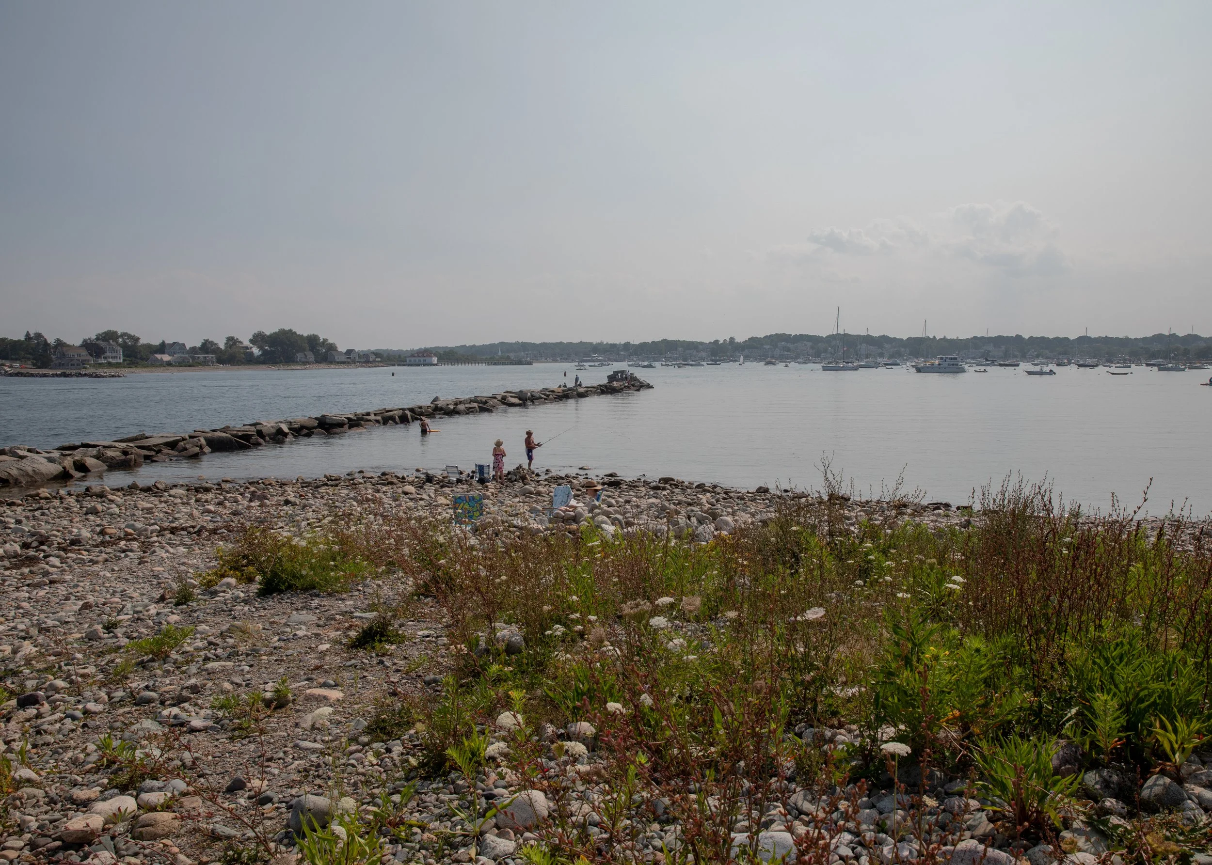 Klos_OysterFarming_WSJ_0902.jpg