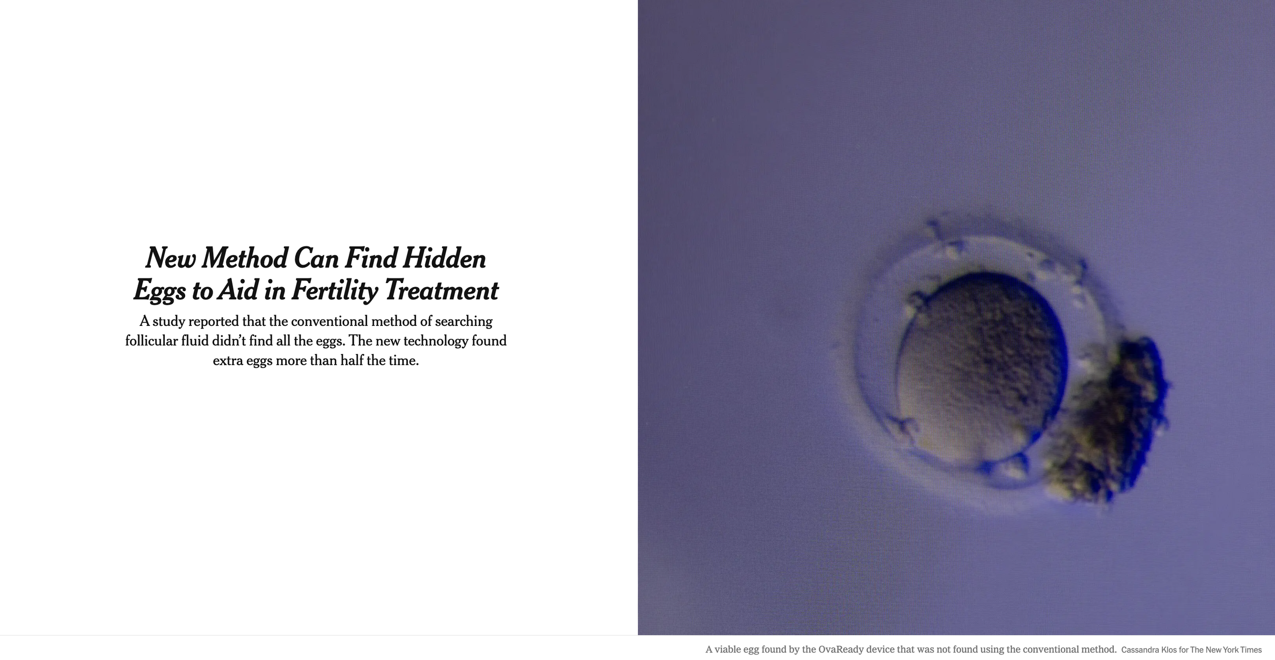 Screenshot 2026-02-18 at 10.06.05 AM.png