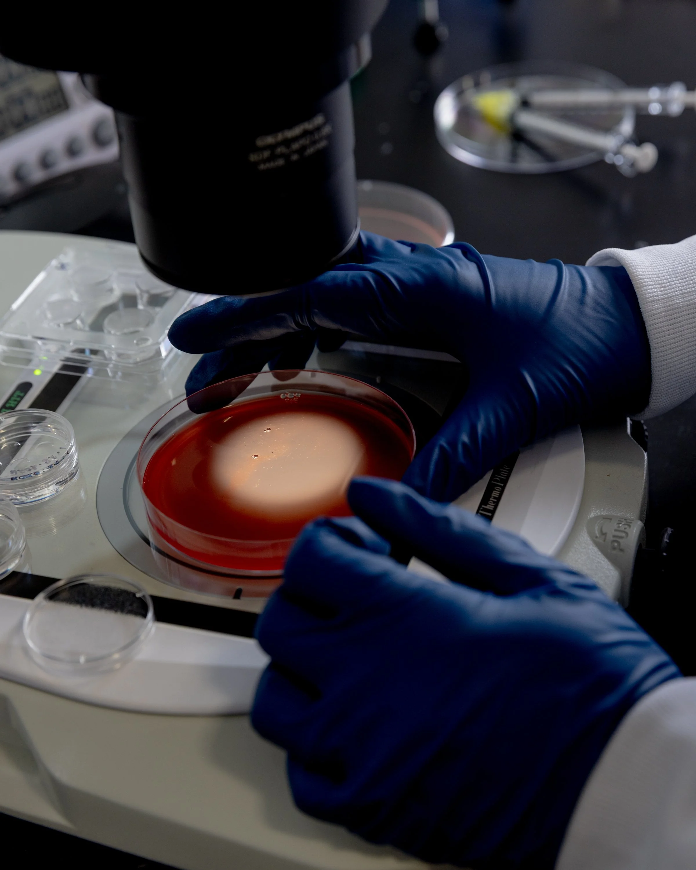  New Method to Aid in Fertility Treatment   The New York Times