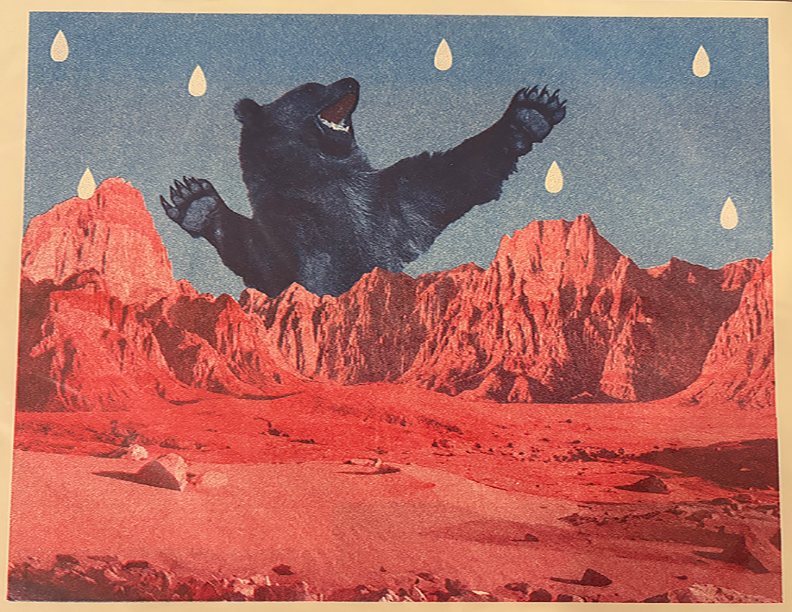 Murphy - Delayed Showers - risograph