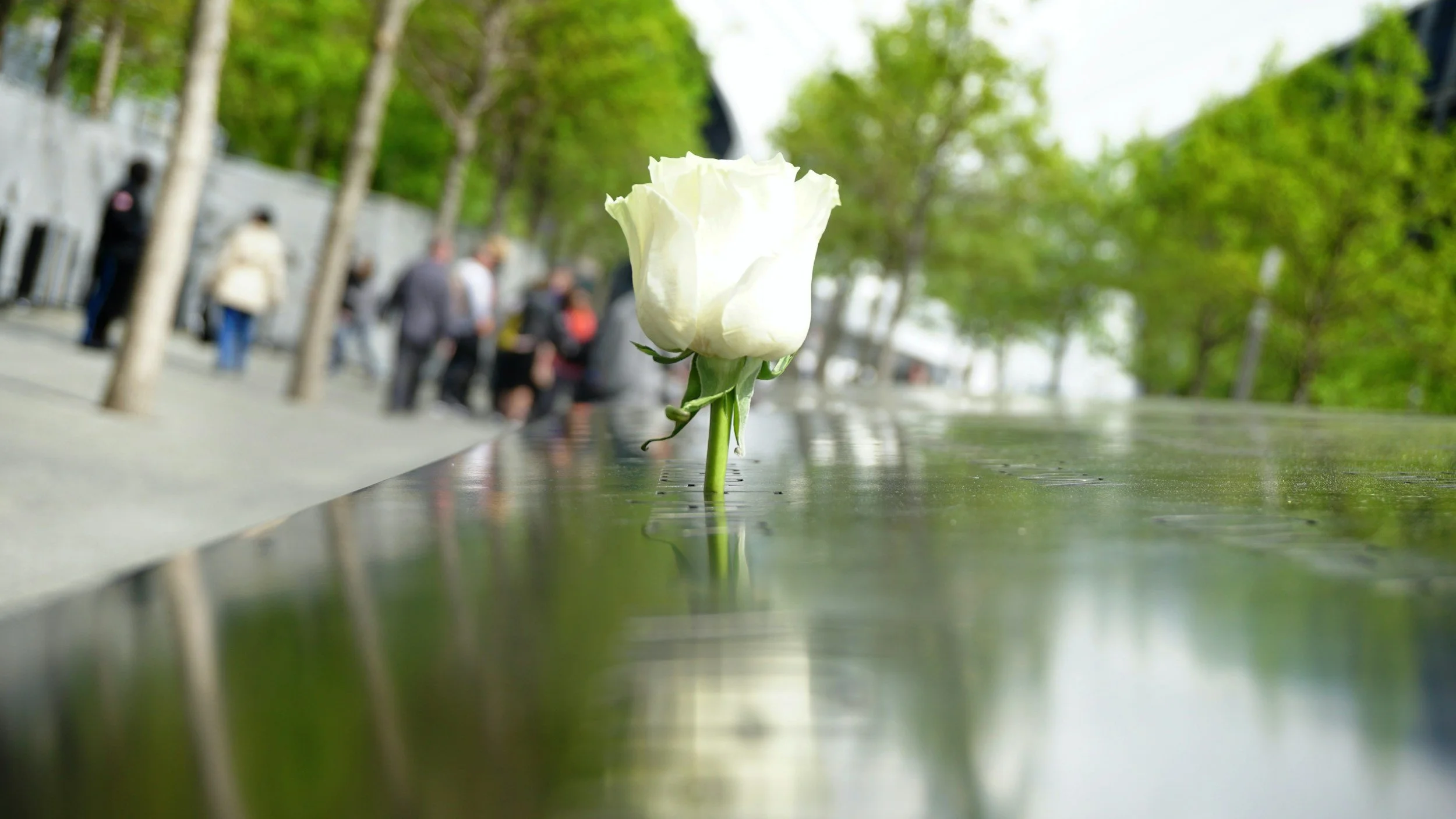 2026, A Time for Reflection, Freedom, and Remembrance