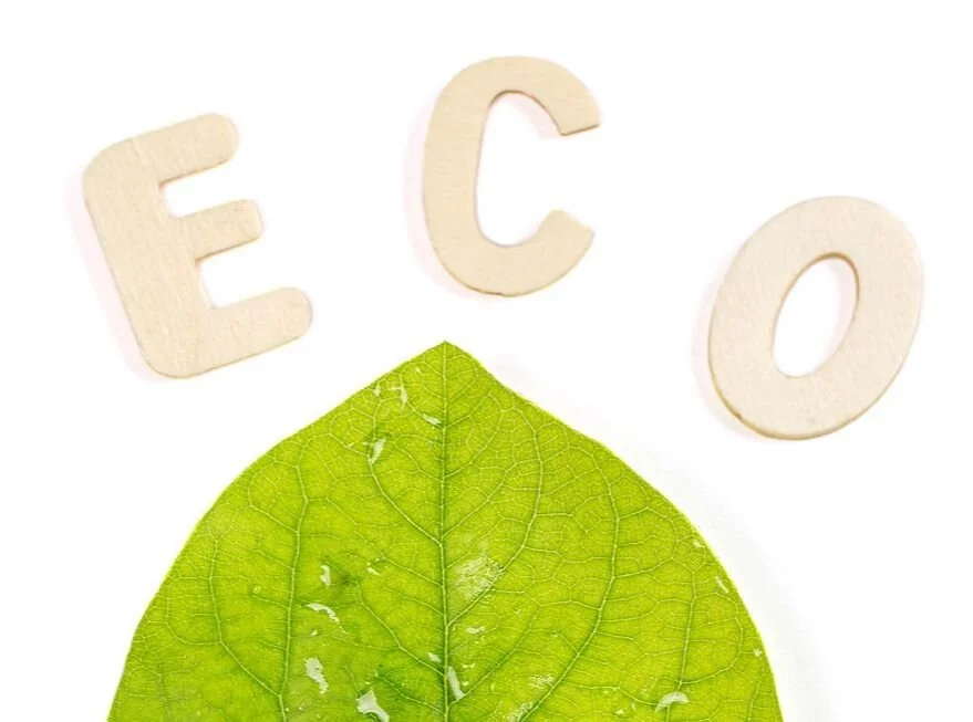 10 SUSTAINABLE PRODUCTS TO KICK OFF A GREEN 2022</a>