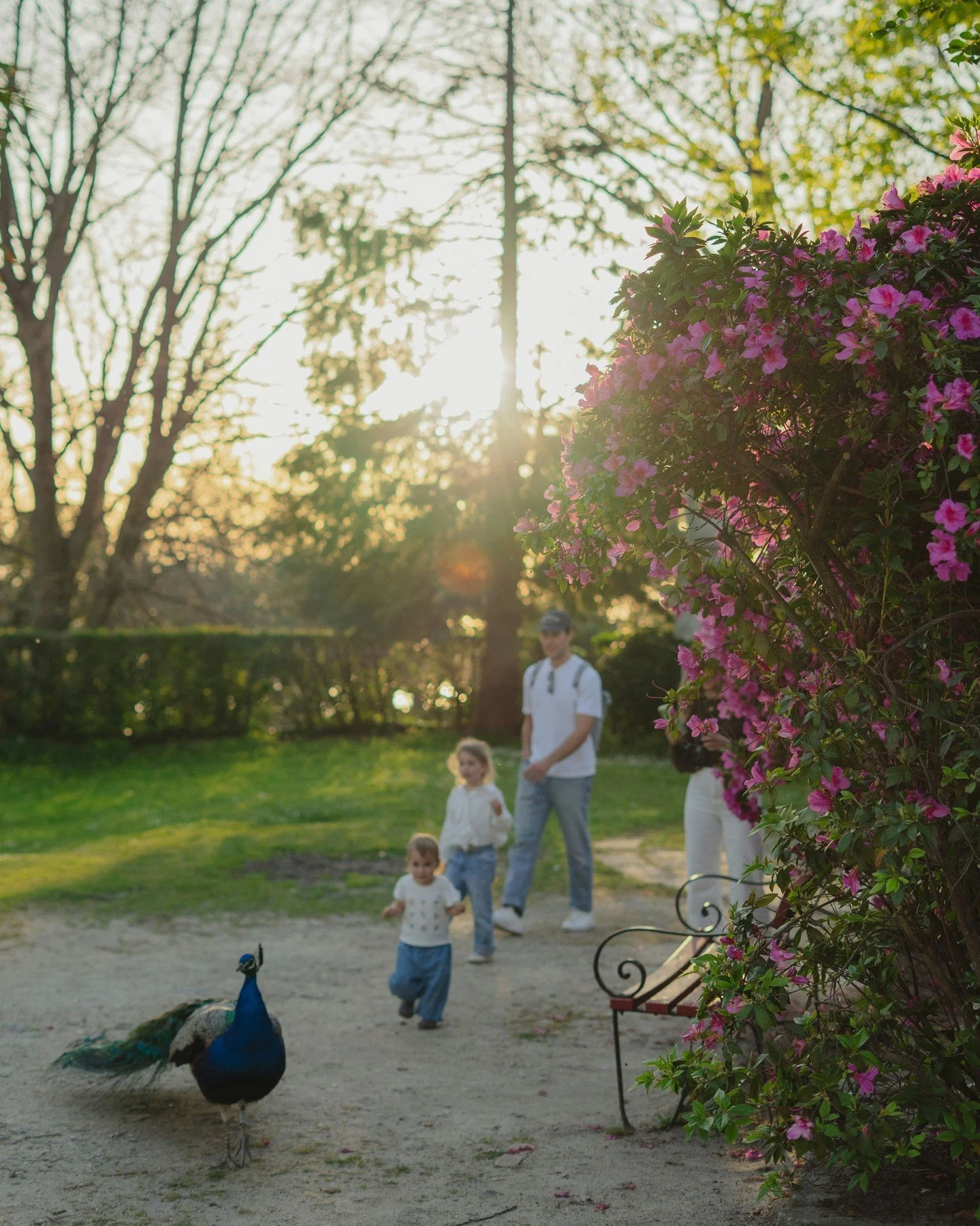 Happy Easter! This holiday signals new life and it couldn&rsquo;t come at a better time. If you and your partner are celebrating multiple holidays together, how is that going? Do you have any traditions that are specific to your family at this time o