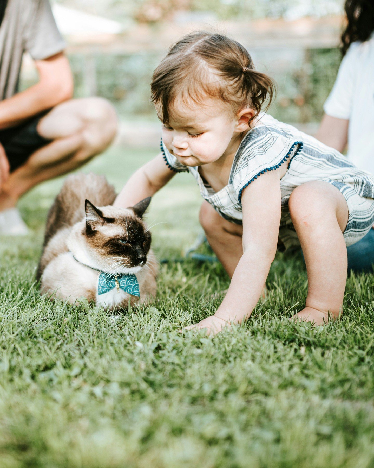 Have you heard the phrase, &ldquo;Now and not yet&rdquo;? We think it can be applied to so many stages in life: like when you&rsquo;re engaged but not married, or when you&rsquo;re expecting a child. Have you experienced a season in your life when yo