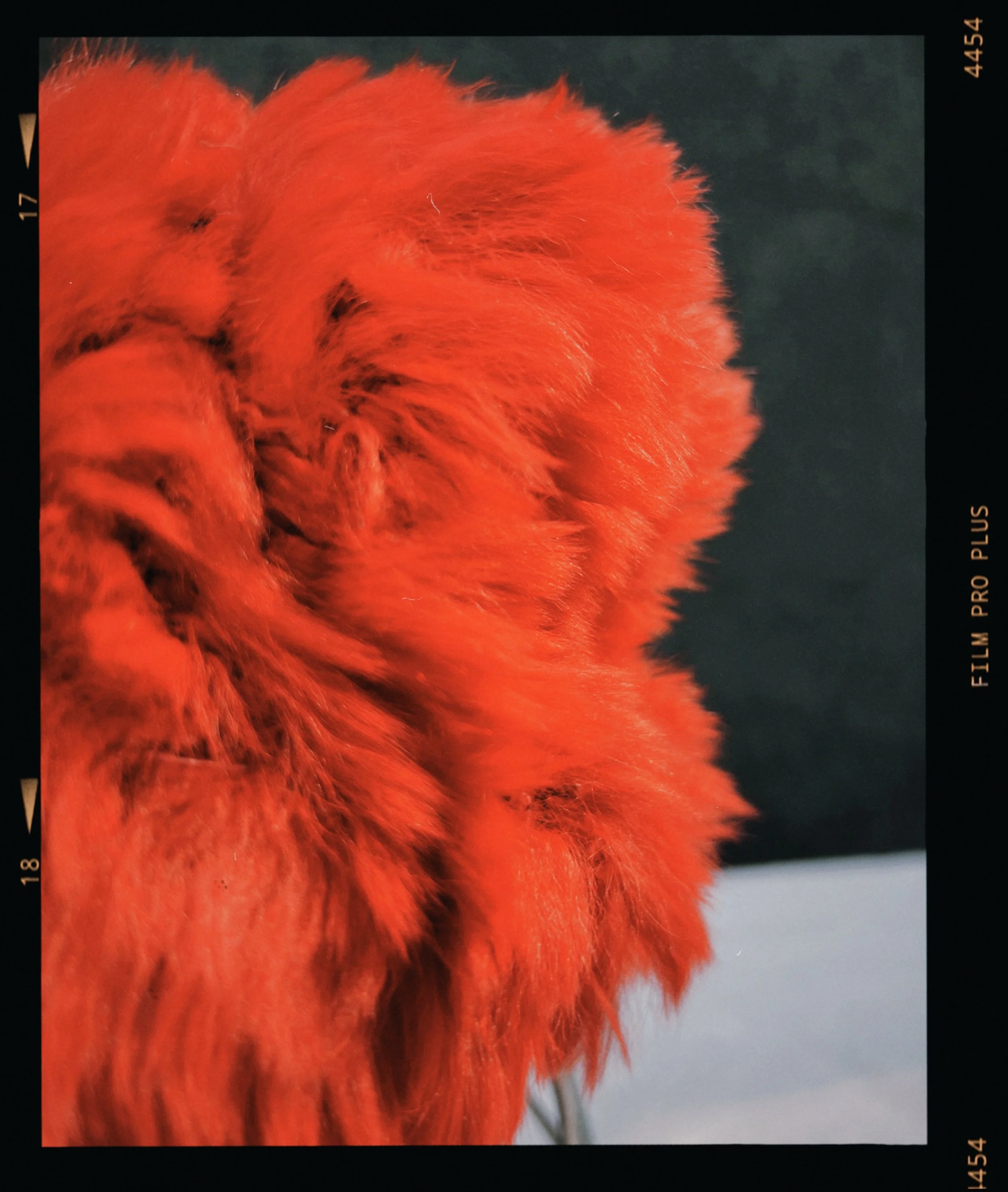 s67 2024-06-17 155340.543.JPG