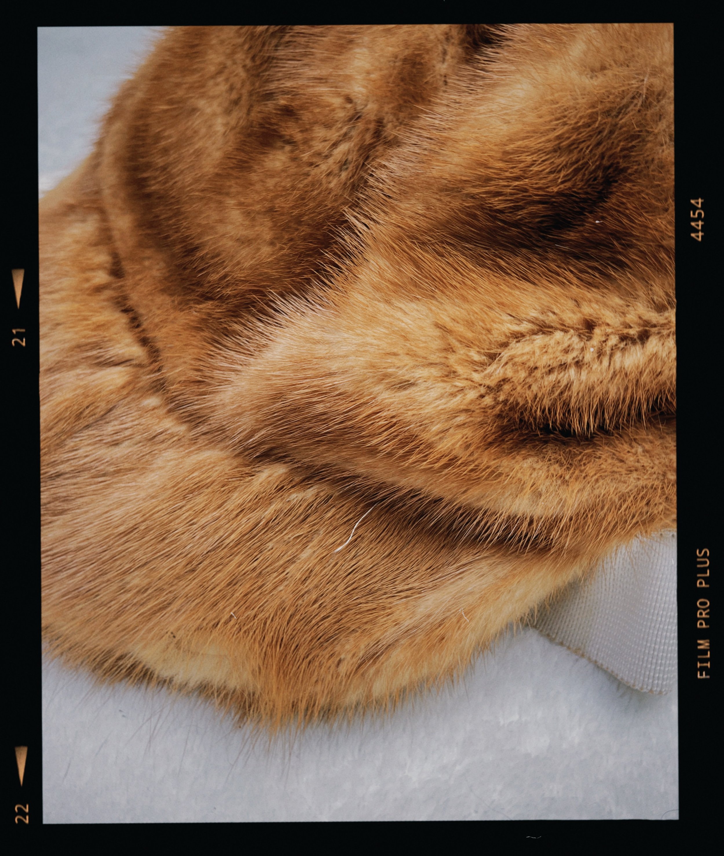 s67 2024-06-17 155455.877.JPG