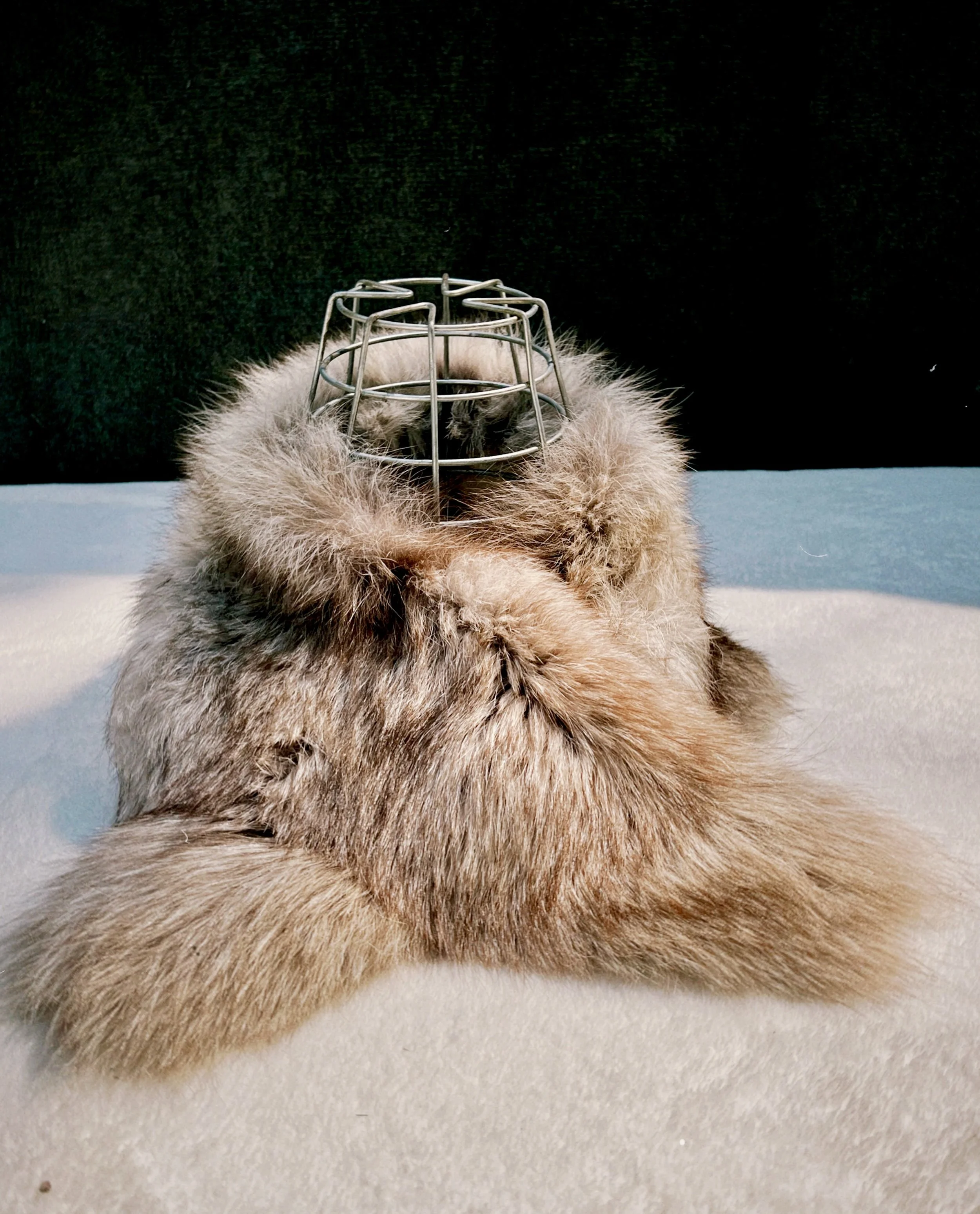 s67 2024-06-17 150413.499.jpg