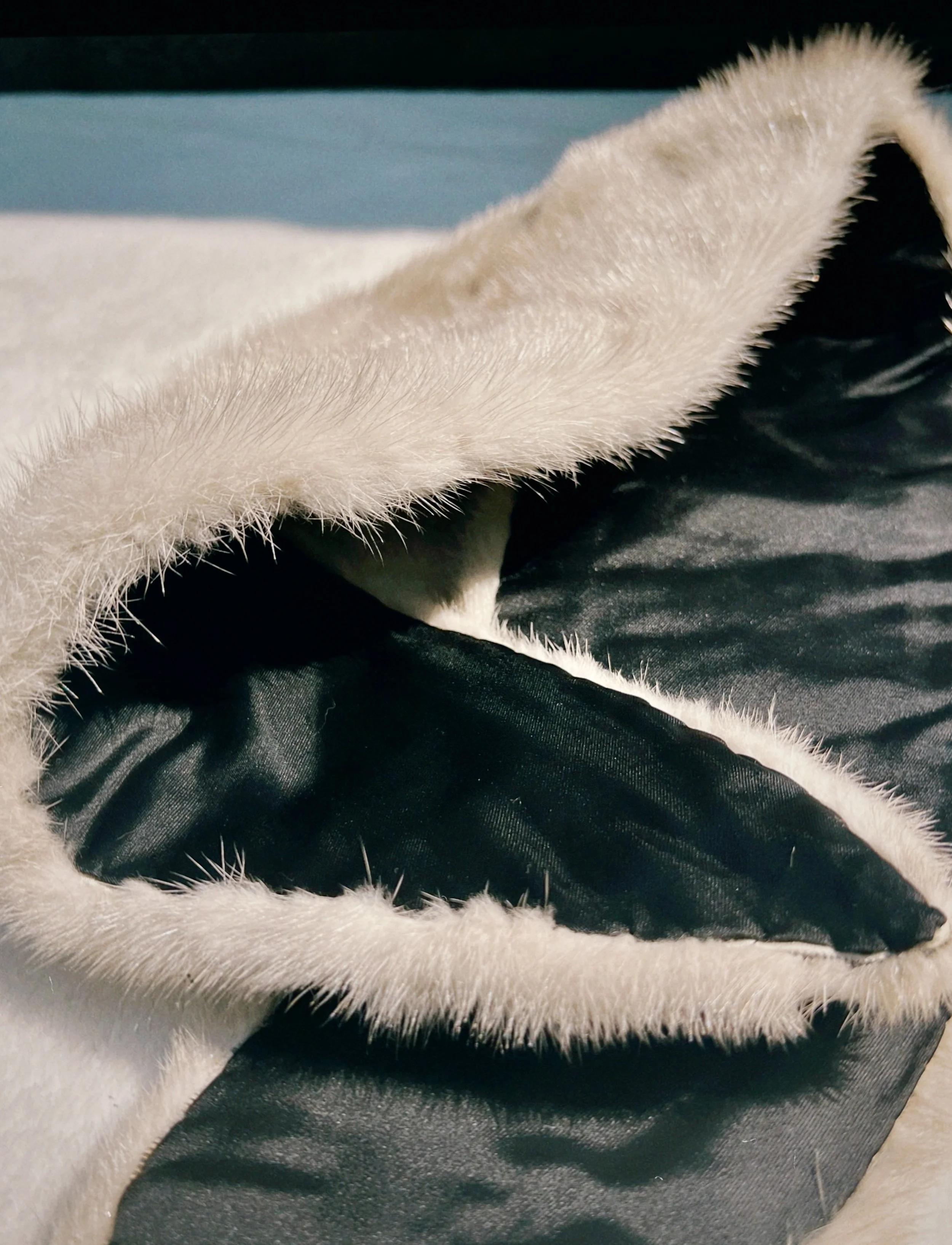 s67 2024-06-17 152600.665.jpg