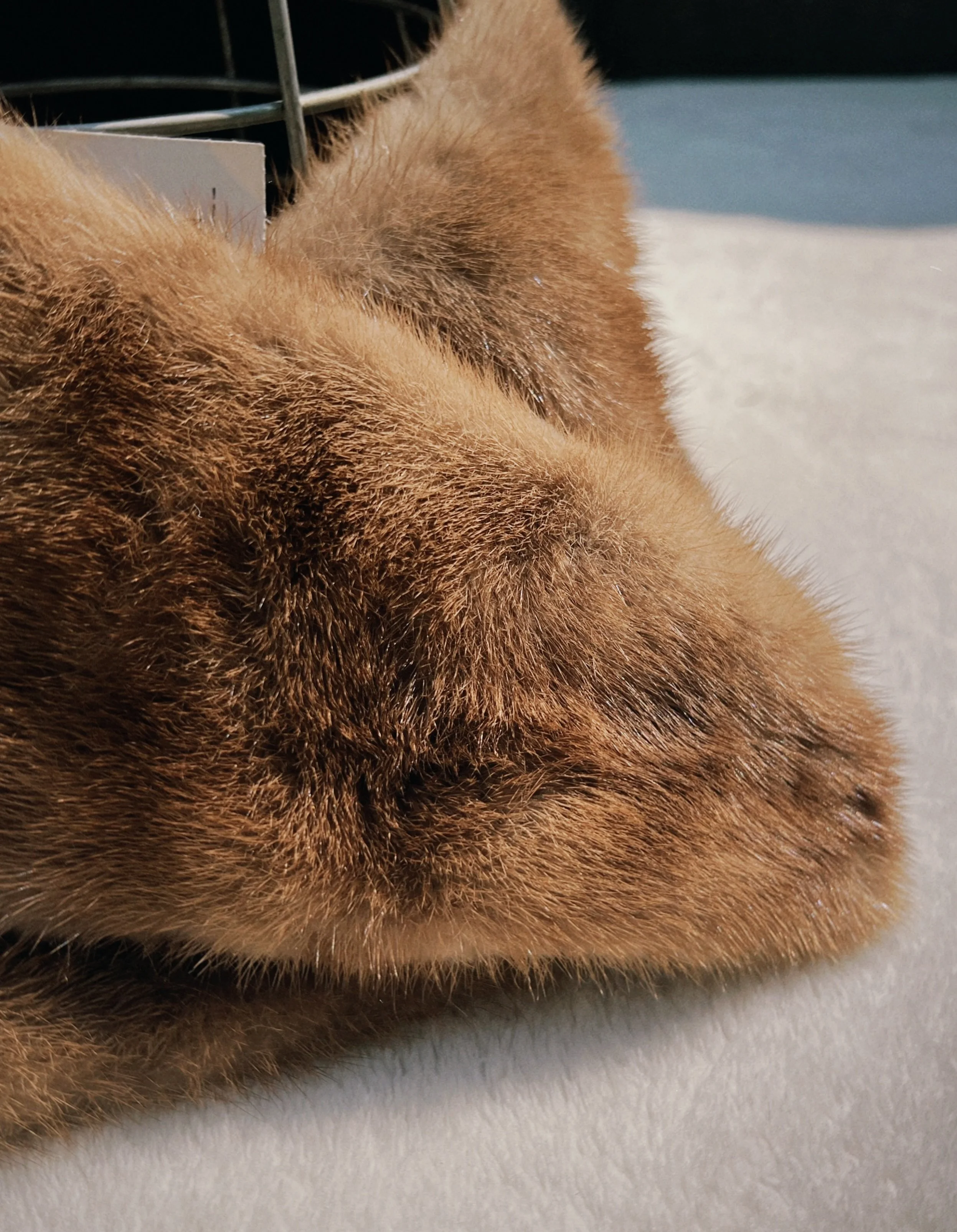 s67 2024-06-17 151615.656.jpg