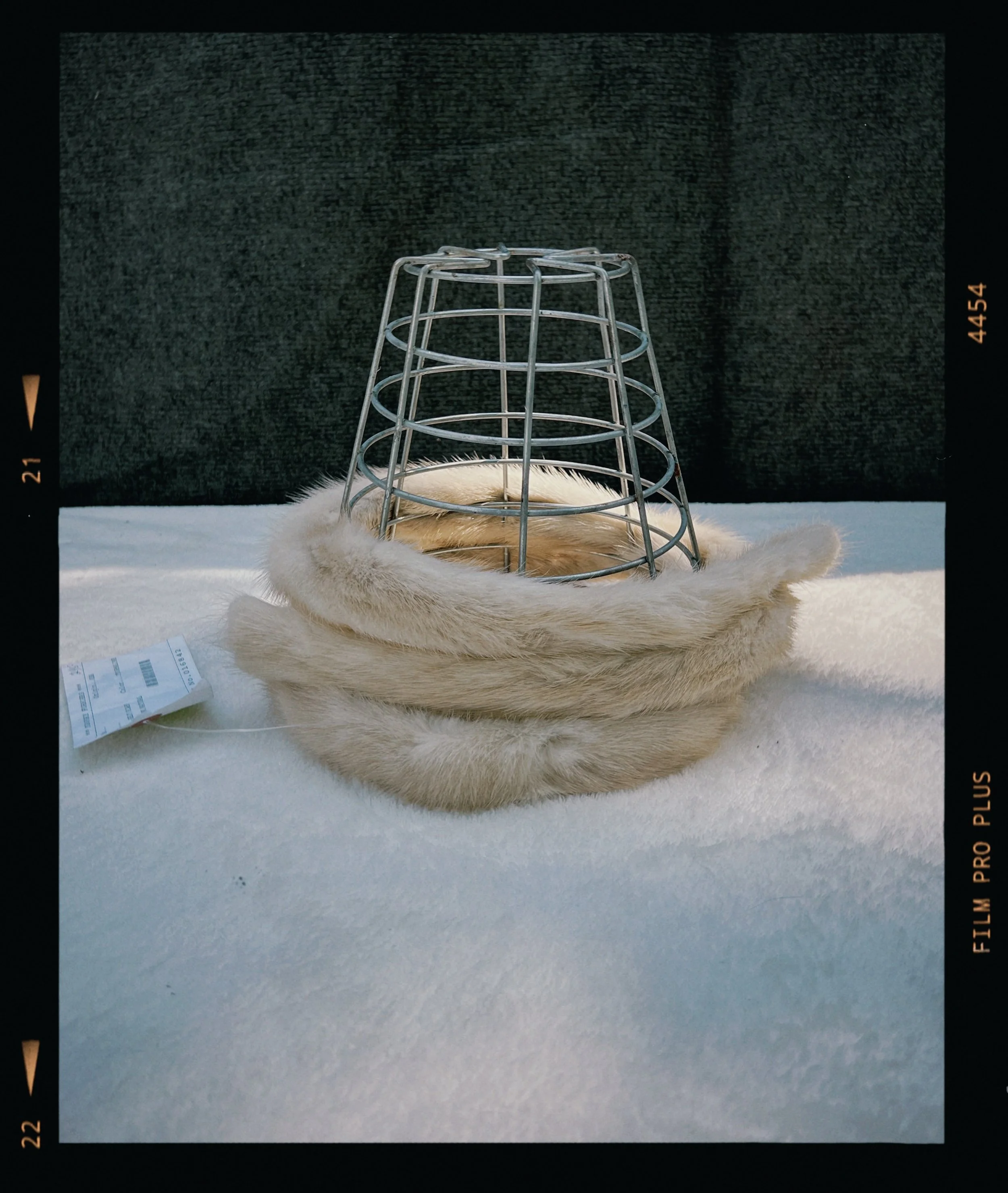 s67 2024-06-17 154825.701.JPG