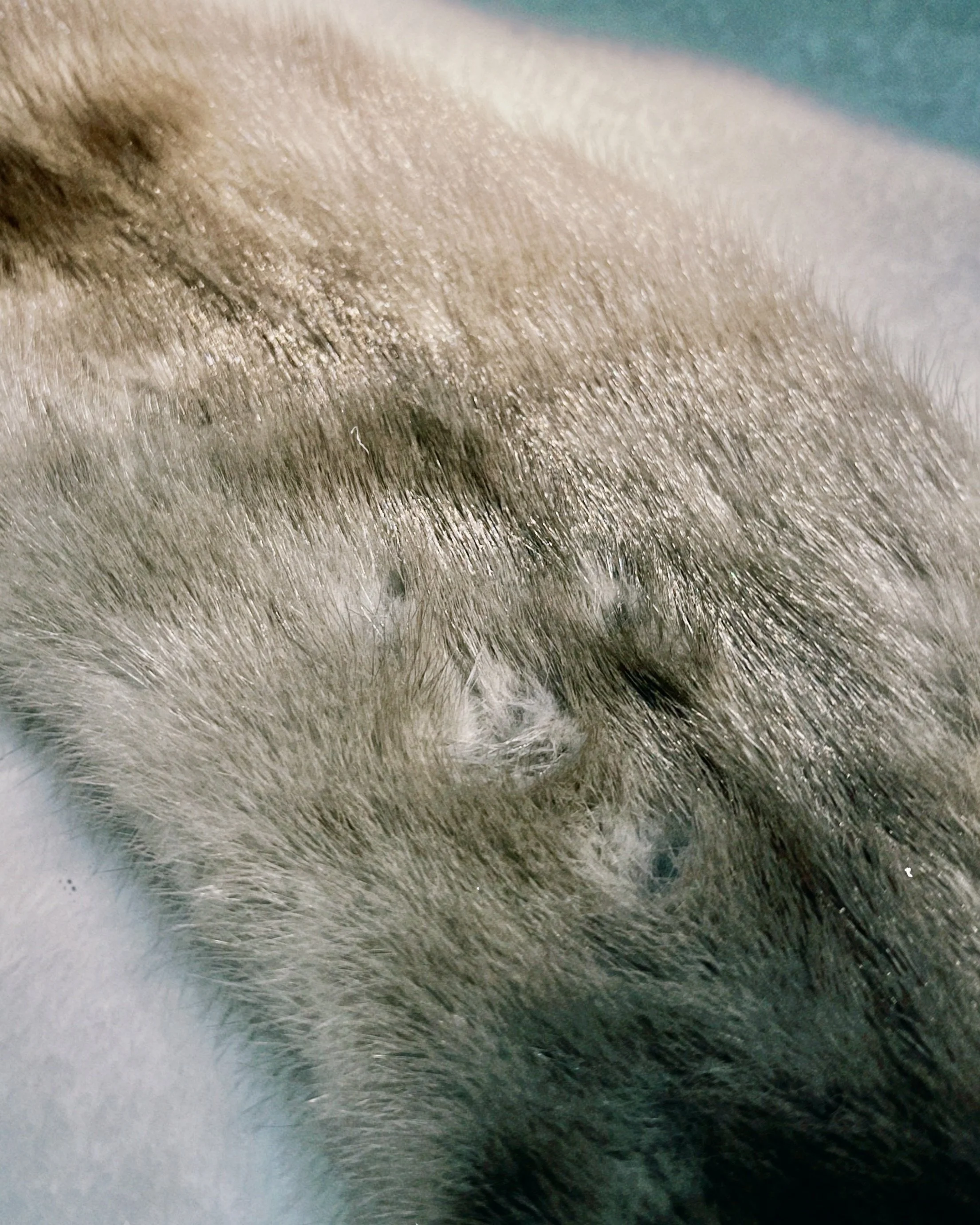 s67 2024-06-17 145209.061.jpg