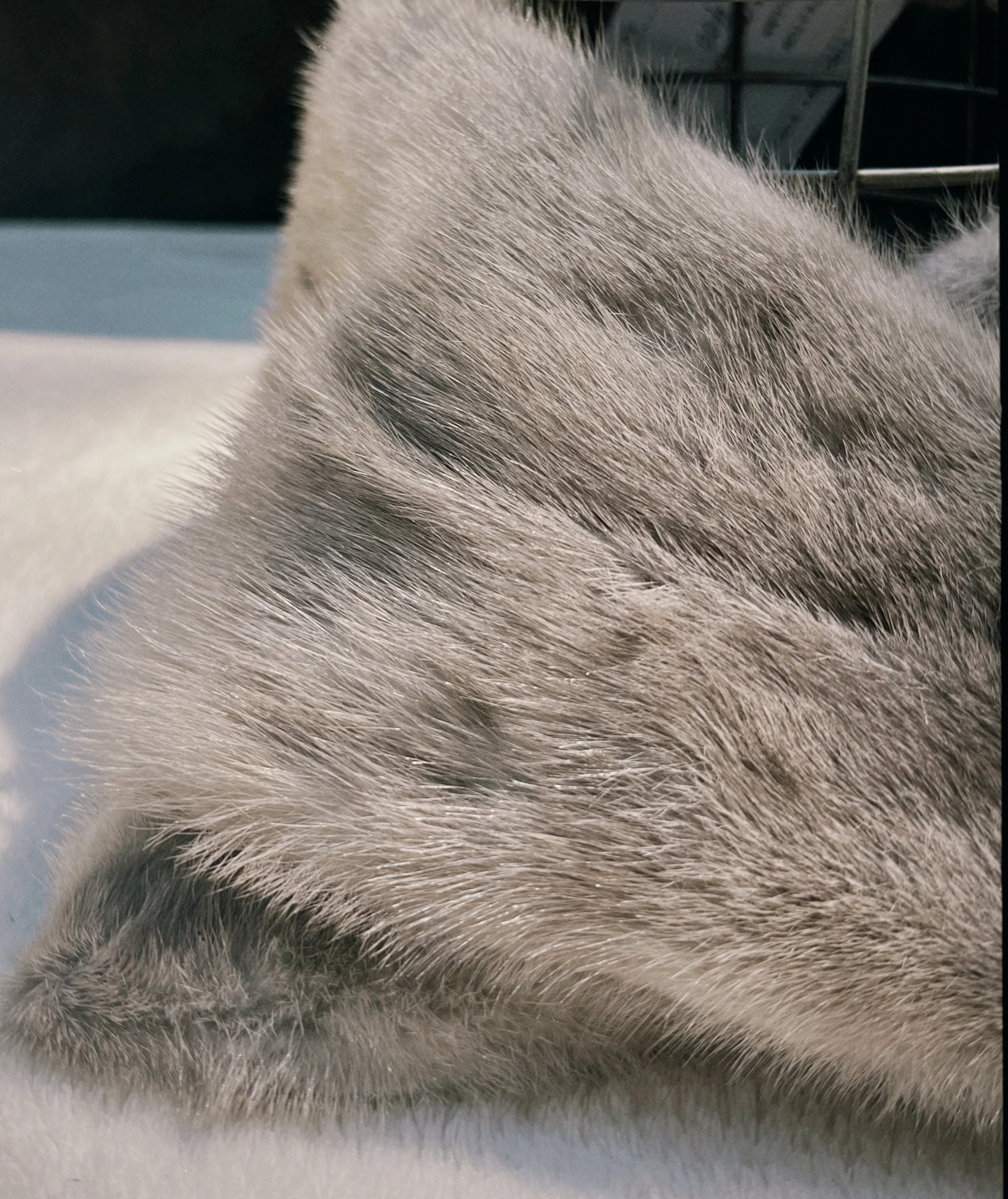 s67 2024-06-17 145123.254.jpg