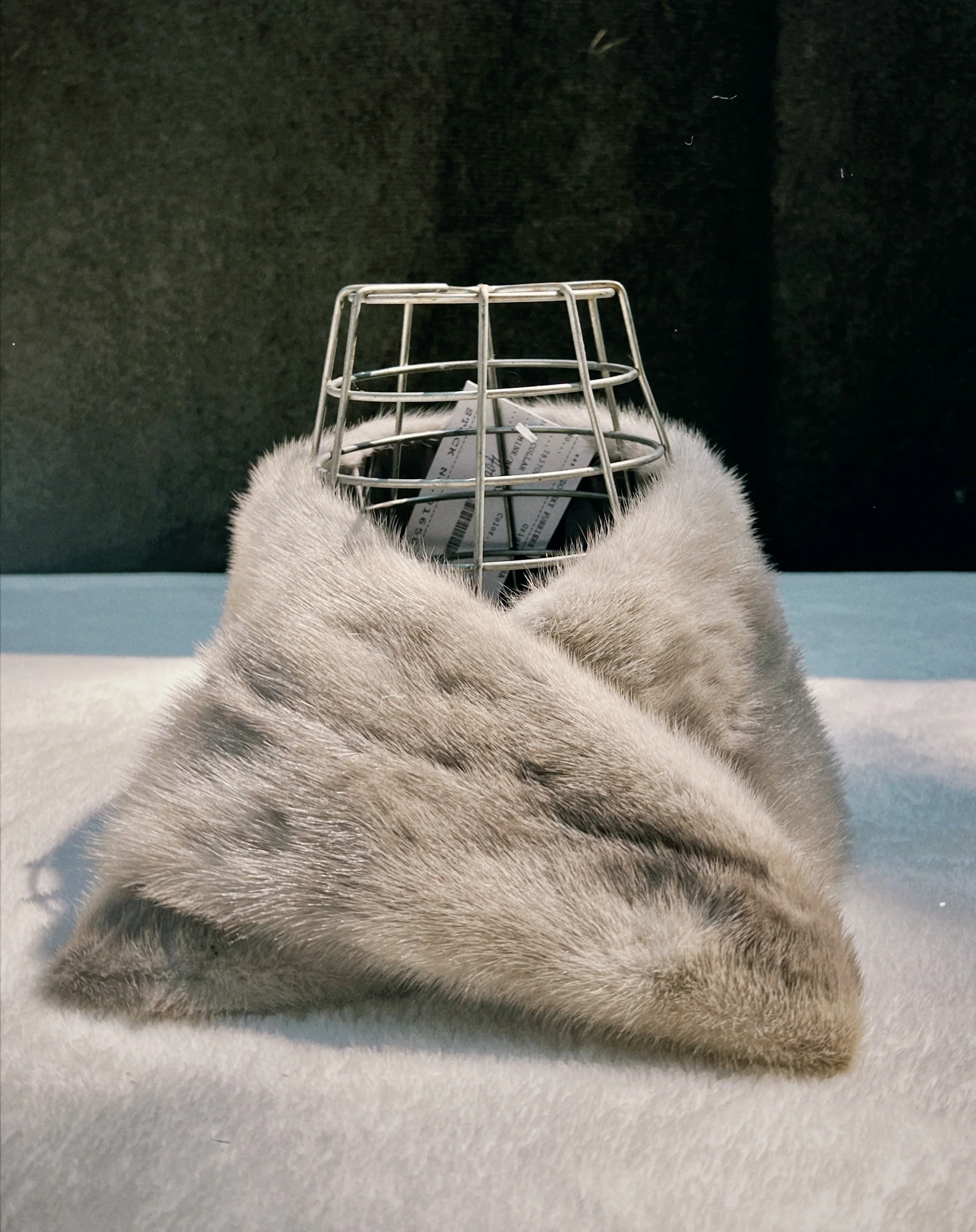 s67 2024-06-17 145115.412.jpg