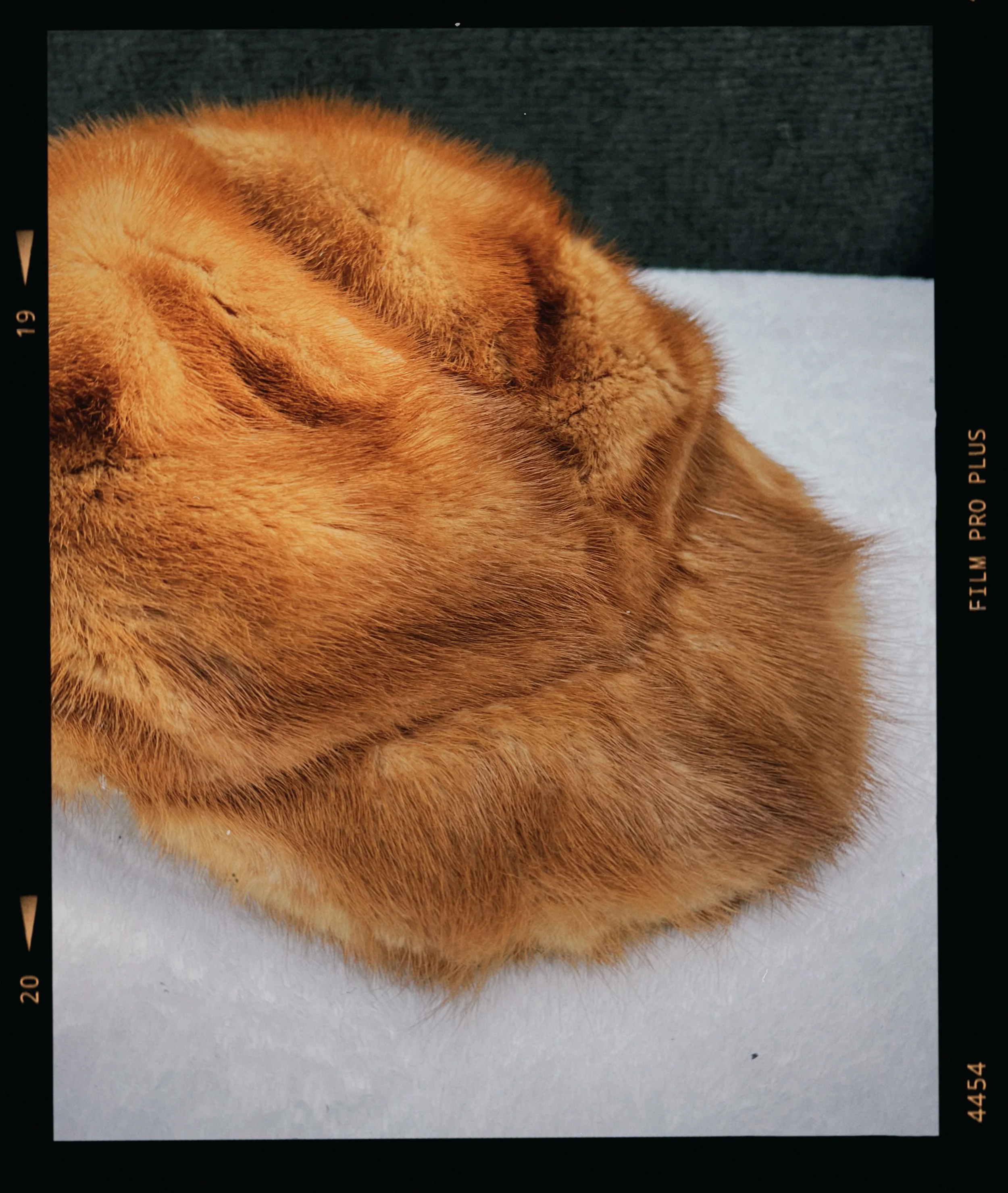 s67 2024-06-17 155502.857.JPG