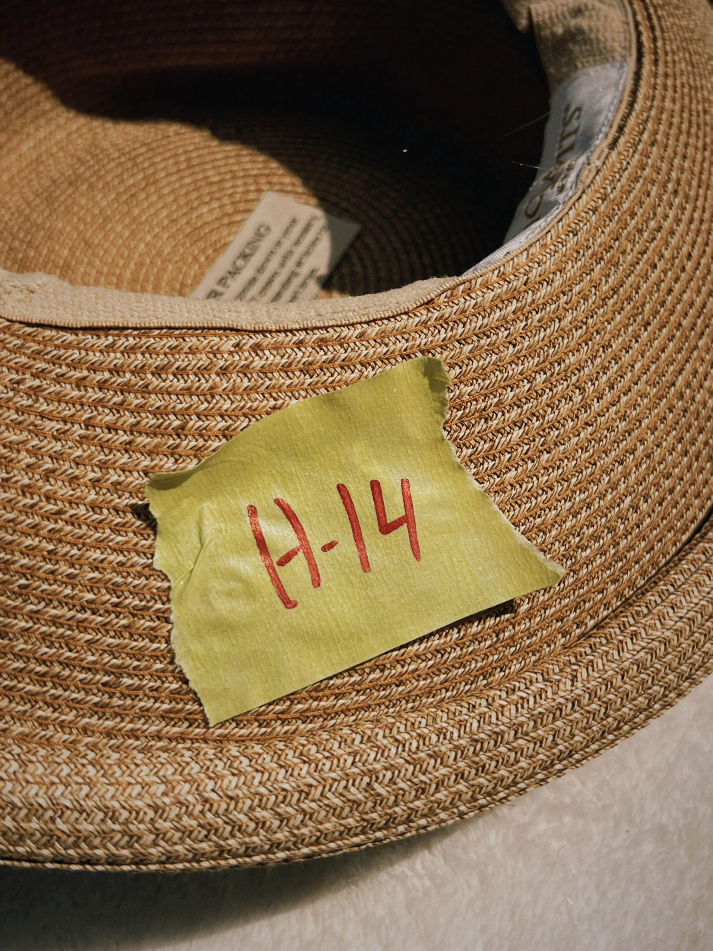 s67 2024-06-19 150700.776.JPG